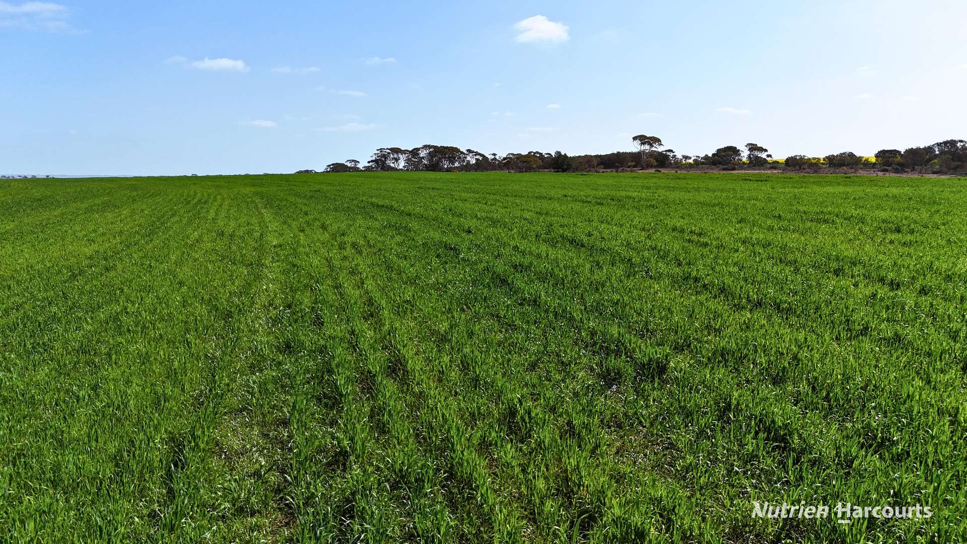 2342 Emu Hill Road East, South Kumminin For Sale by Farmbuy.com - image 6