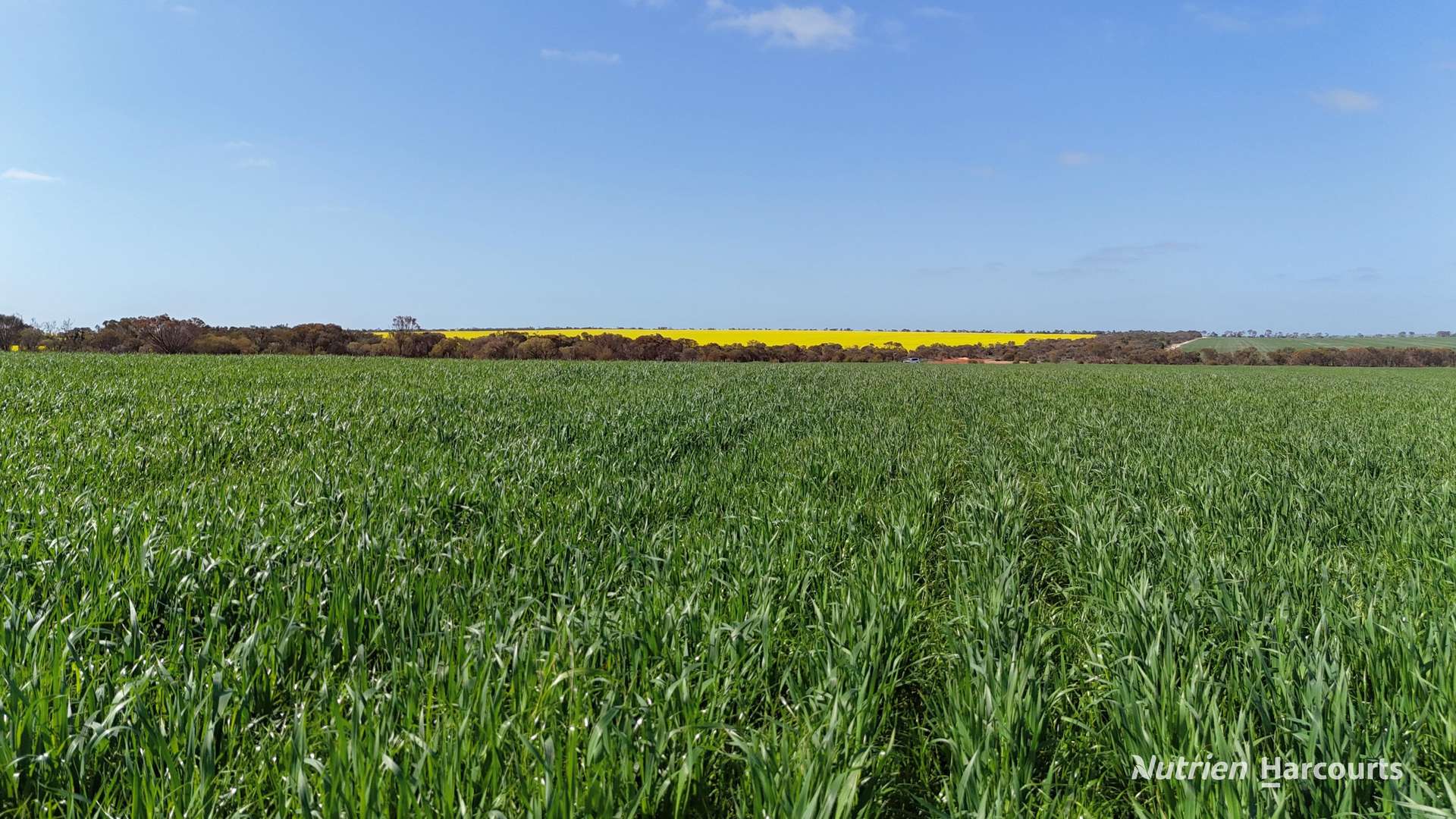 2342 Emu Hill Road East, South Kumminin For Sale by Farmbuy.com - image 3