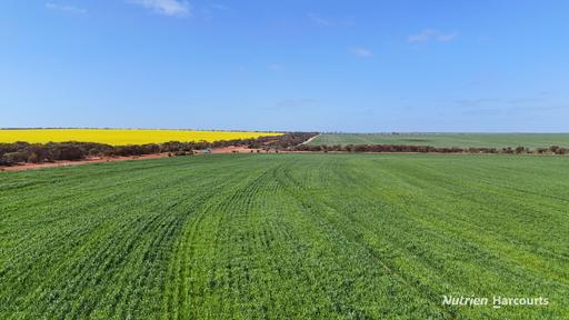 2342 Emu Hill Road East, South Kumminin WA 6368