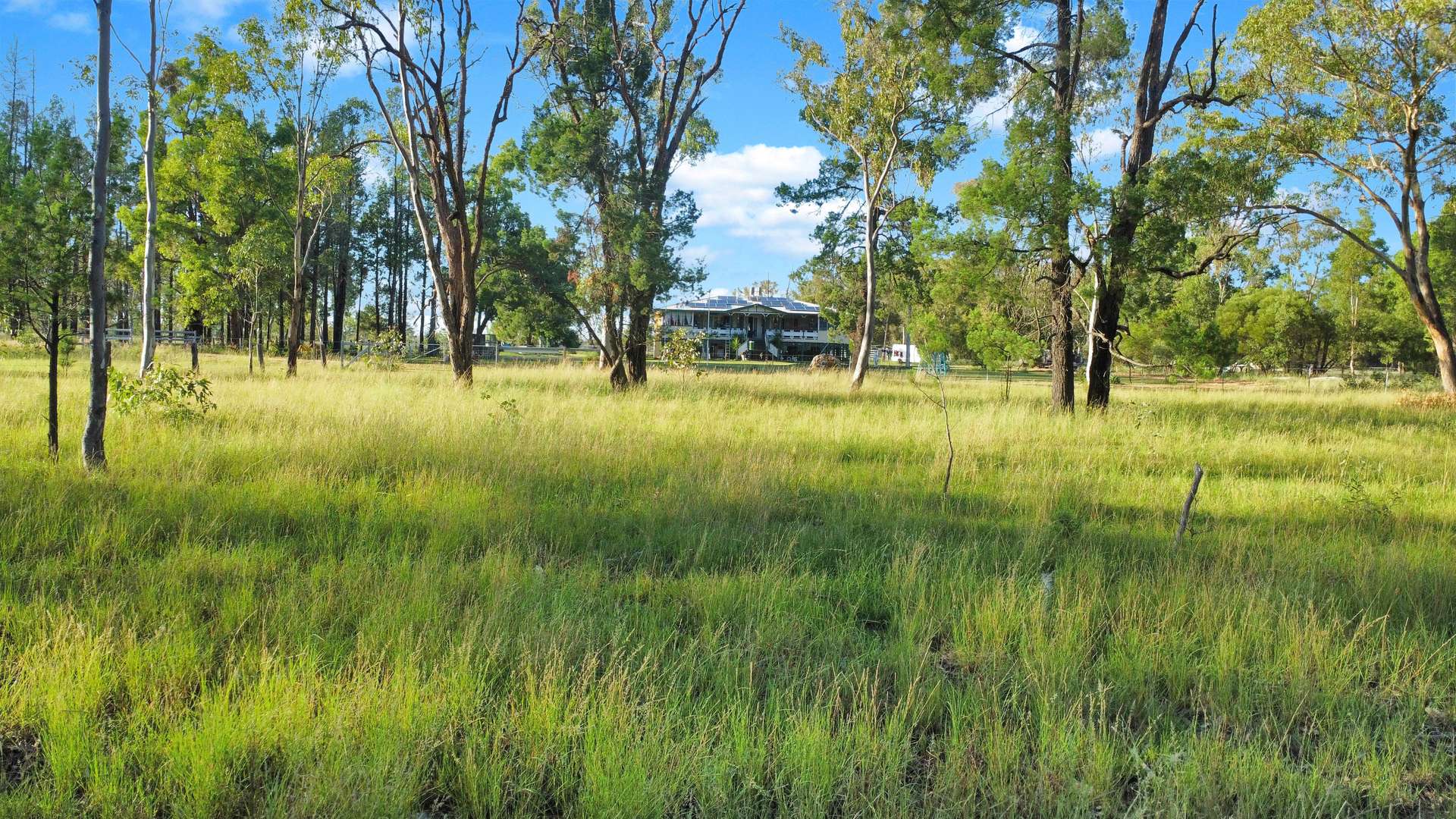 " Four Bar", Dalby Sold by Farmbuy.com - image 24