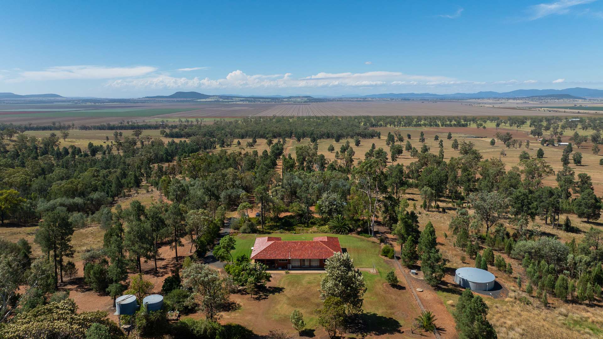 Breeza For Sale by Farmbuy.com - image 22