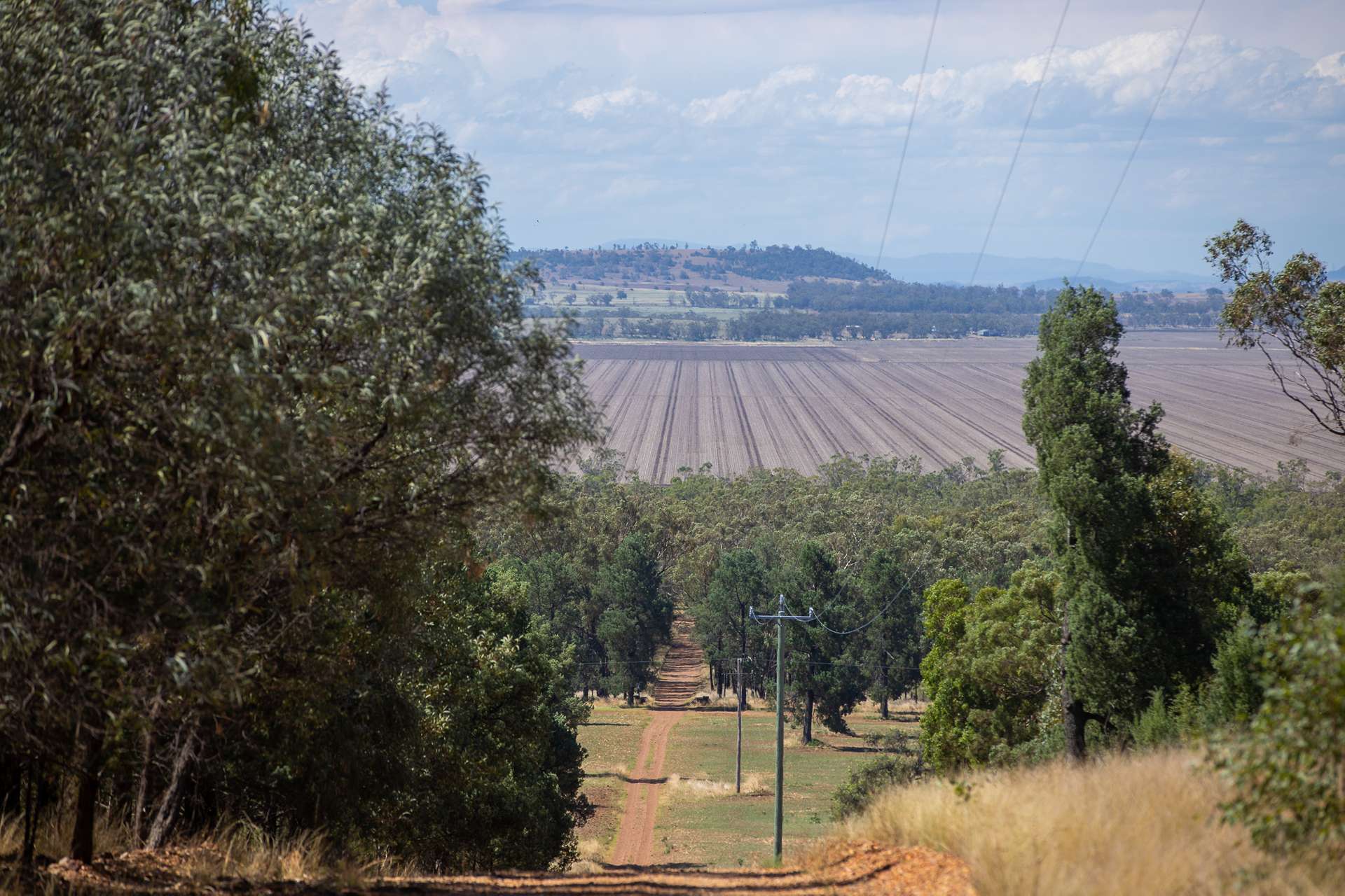 Breeza For Sale by Farmbuy.com - image 15