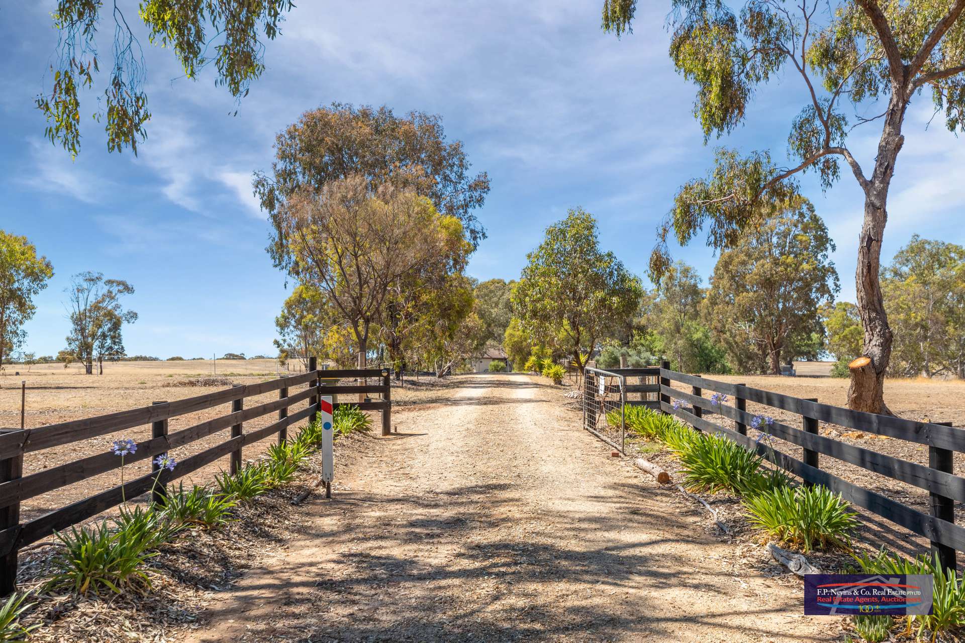 22 Clifden Lane, Wedderburn For Sale by Farmbuy.com - image 14