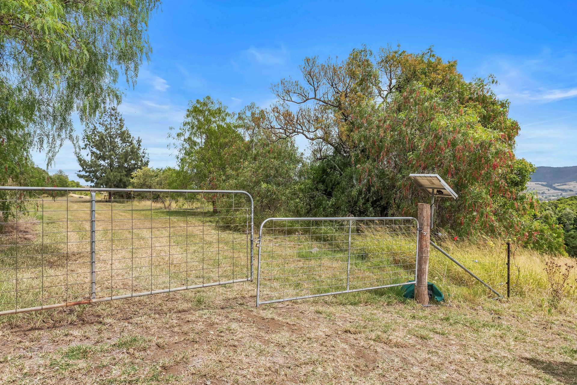 Lot 42 Denmark Lane, Emu Vale For Sale by Farmbuy.com - image 8