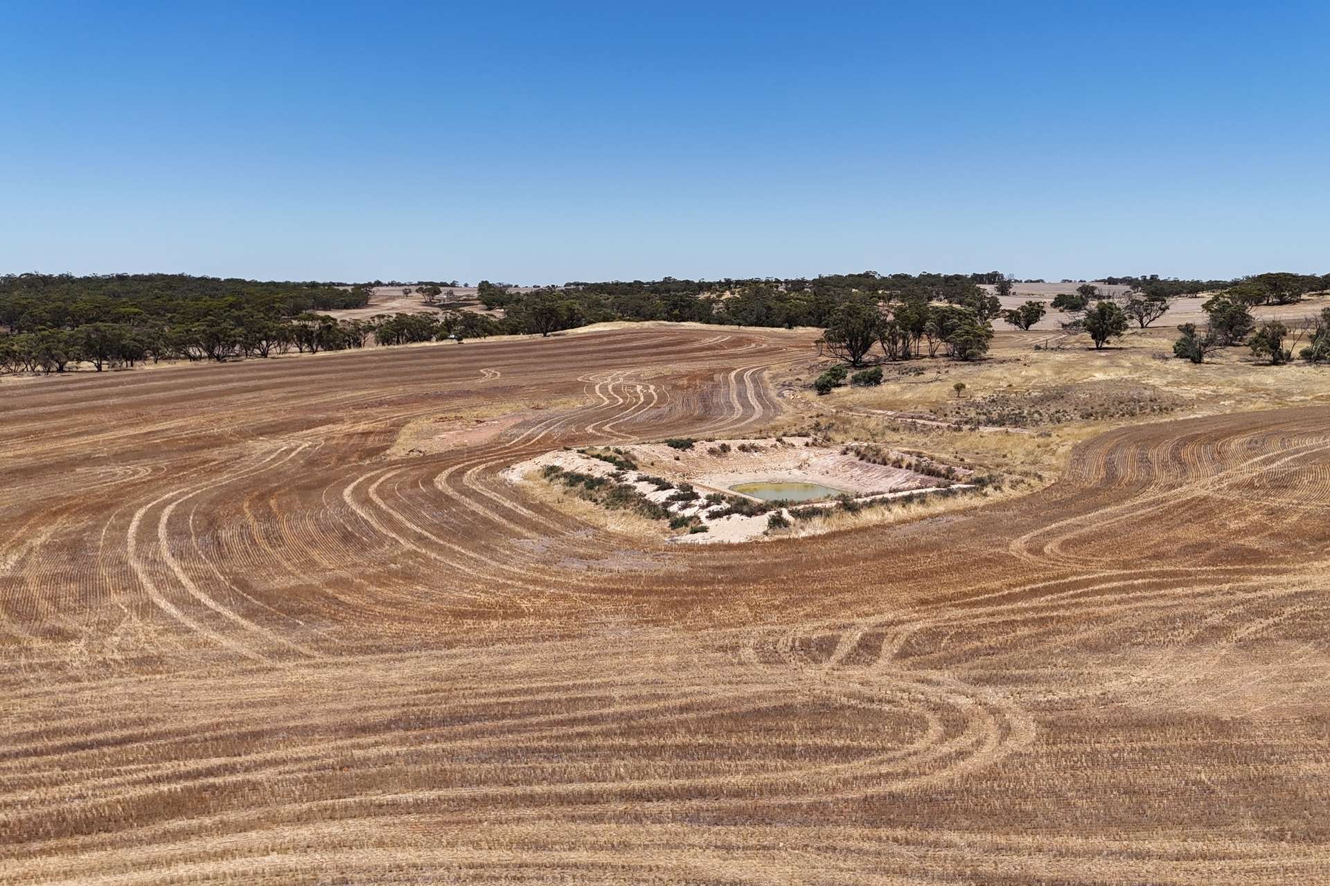 Lot 8662,  Cunderdin-Quairading Road, Youndegin Sold by Farmbuy.com - image 23