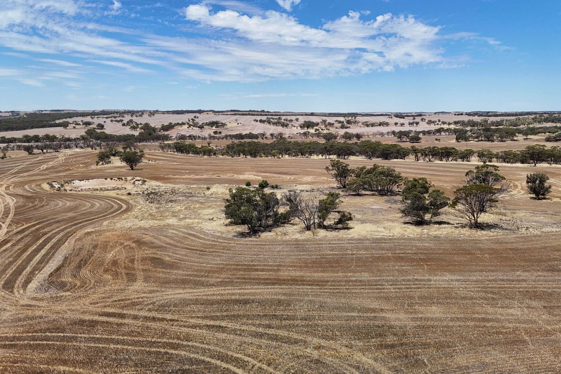 Lot 8662,  Cunderdin-Quairading Road, Youndegin Sold by Farmbuy.com - image 22