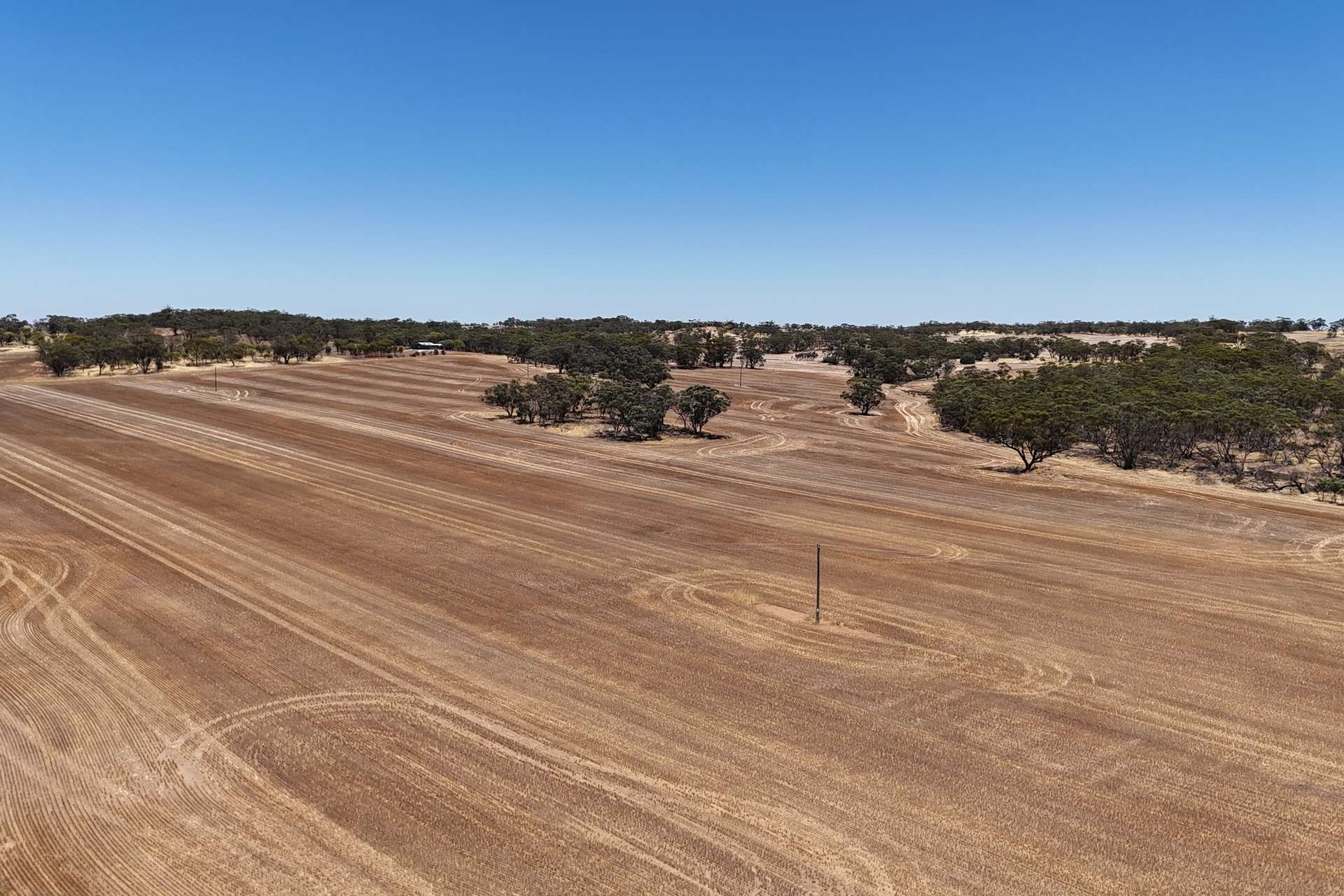 Lot 8662,  Cunderdin-Quairading Road, Youndegin Sold by Farmbuy.com - image 2