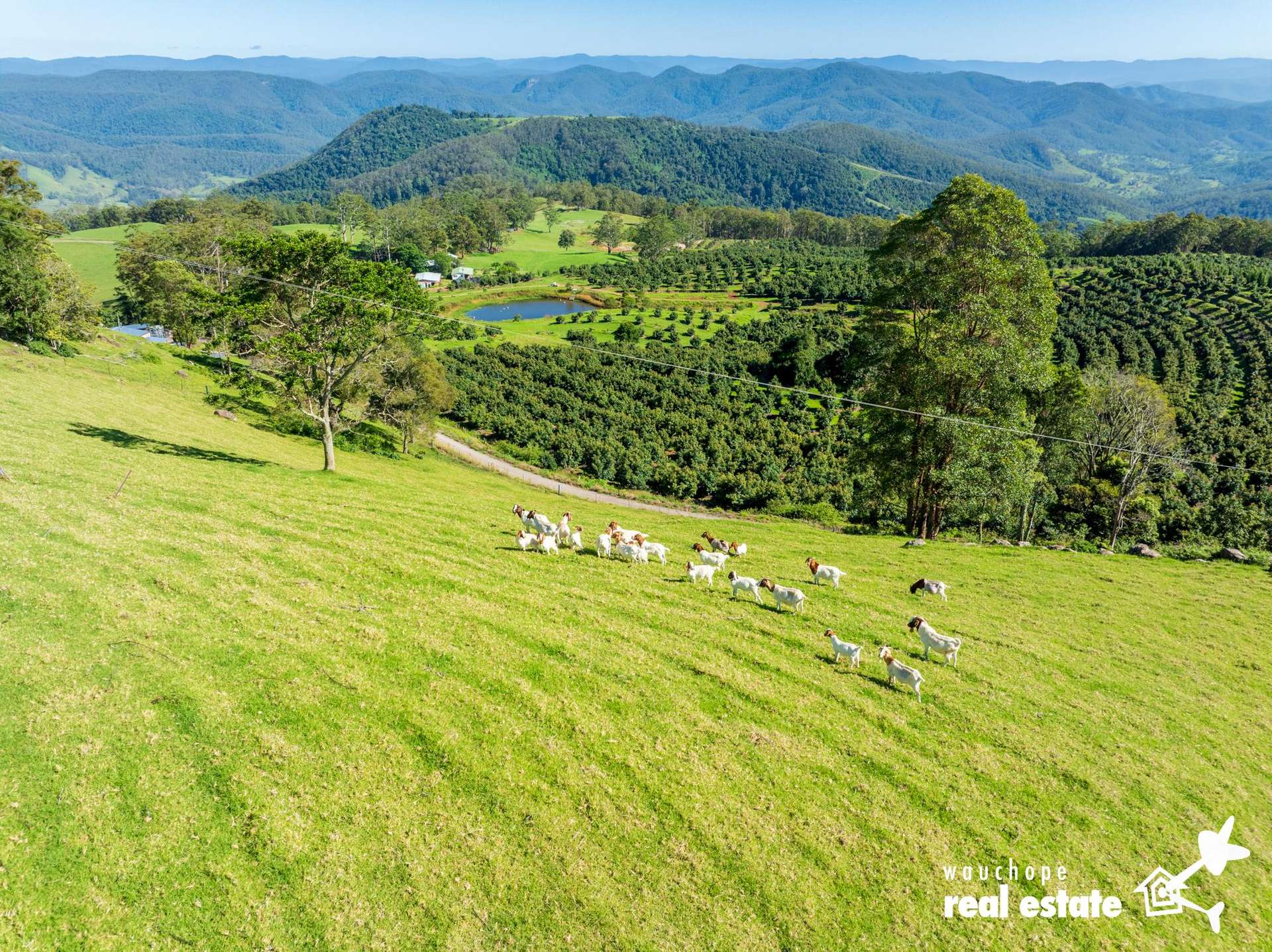 933 Innes View Road, Innes View For Sale by Farmbuy.com - image 24