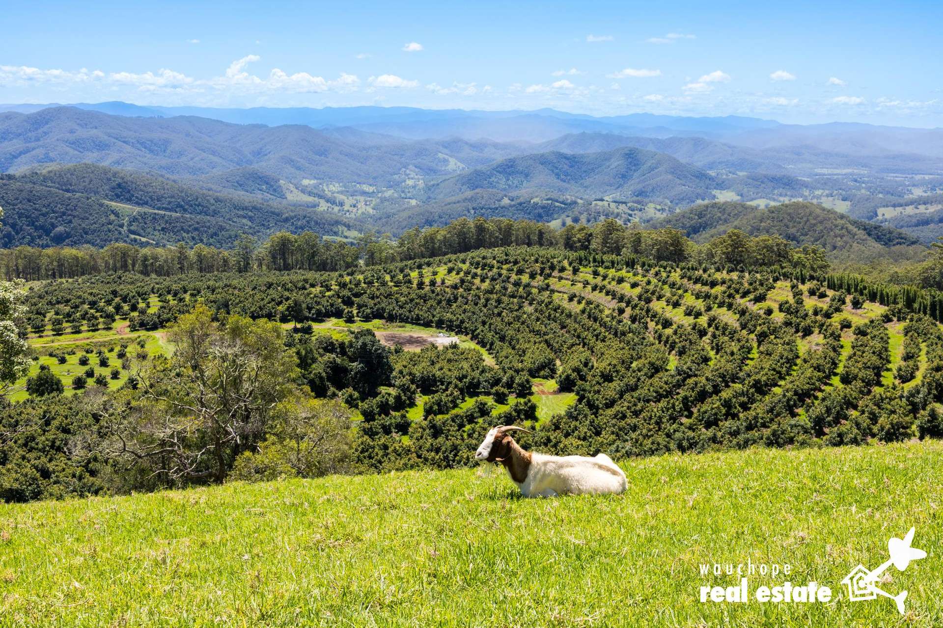 933 Innes View Road, Innes View For Sale by Farmbuy.com - image 27