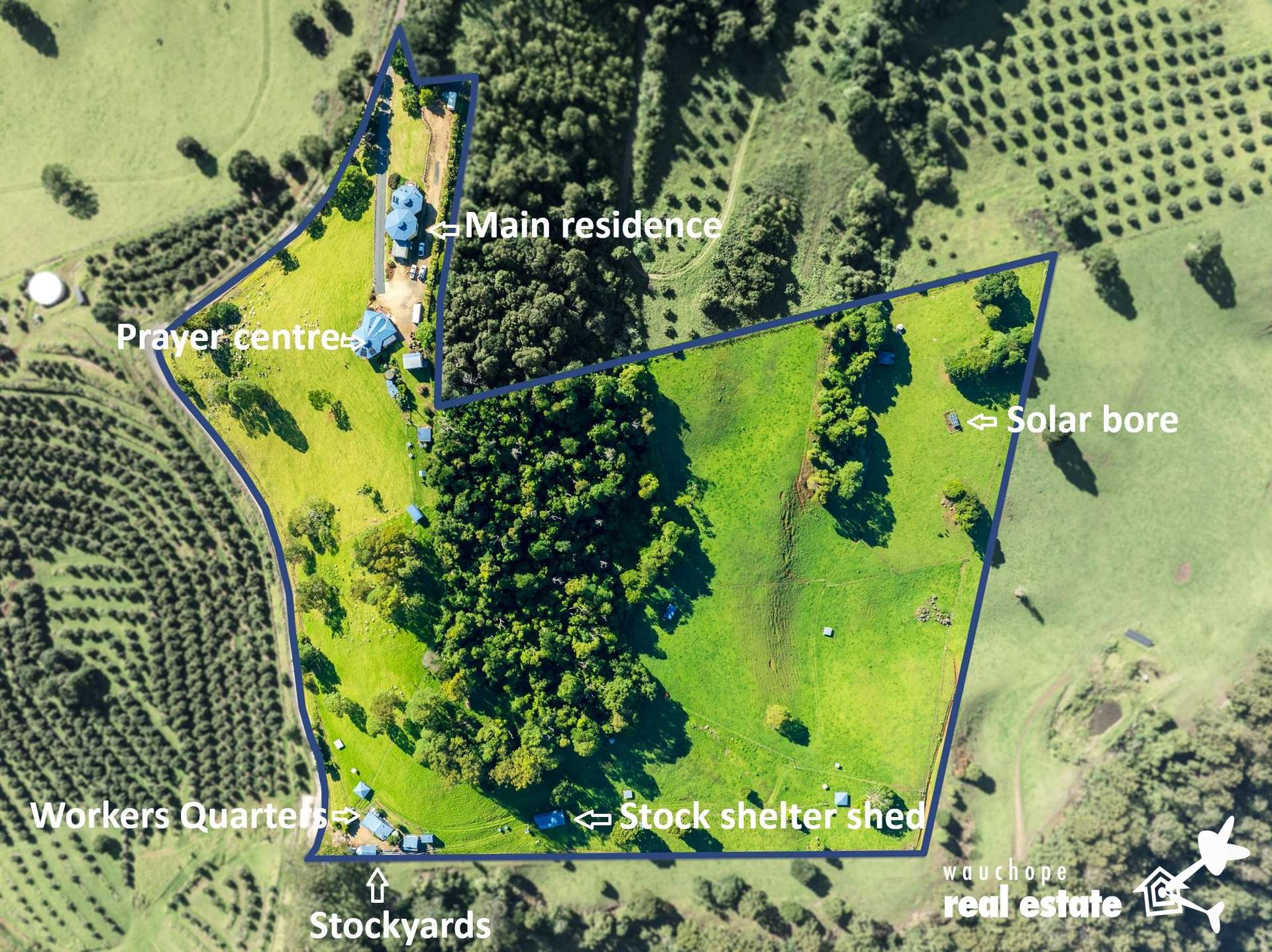 933 Innes View Road, Innes View For Sale by Farmbuy.com - image 23