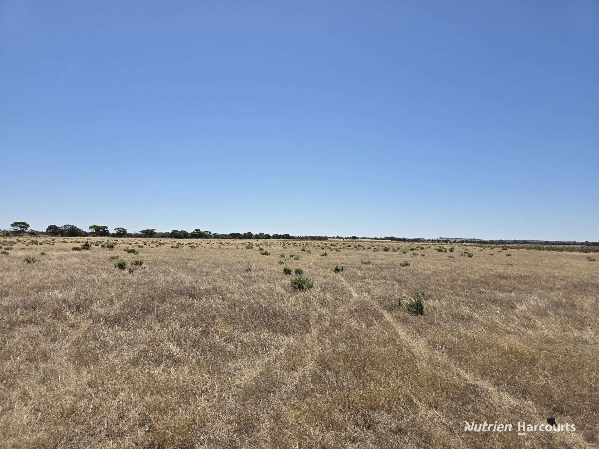 220 Nagel Road, Badgebup For Sale by Farmbuy.com - image 7