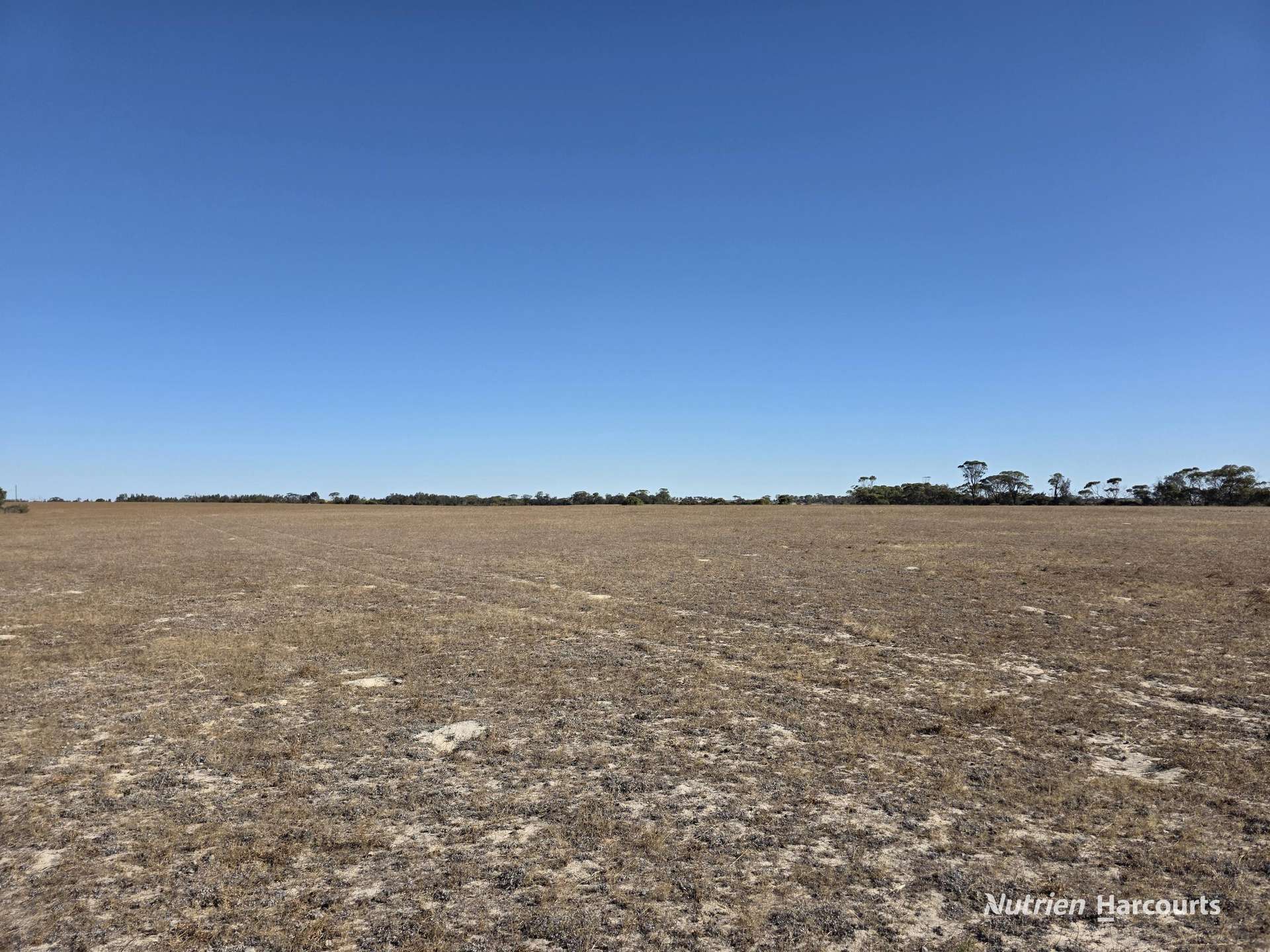 220 Nagel Road, Badgebup For Sale by Farmbuy.com - image 29