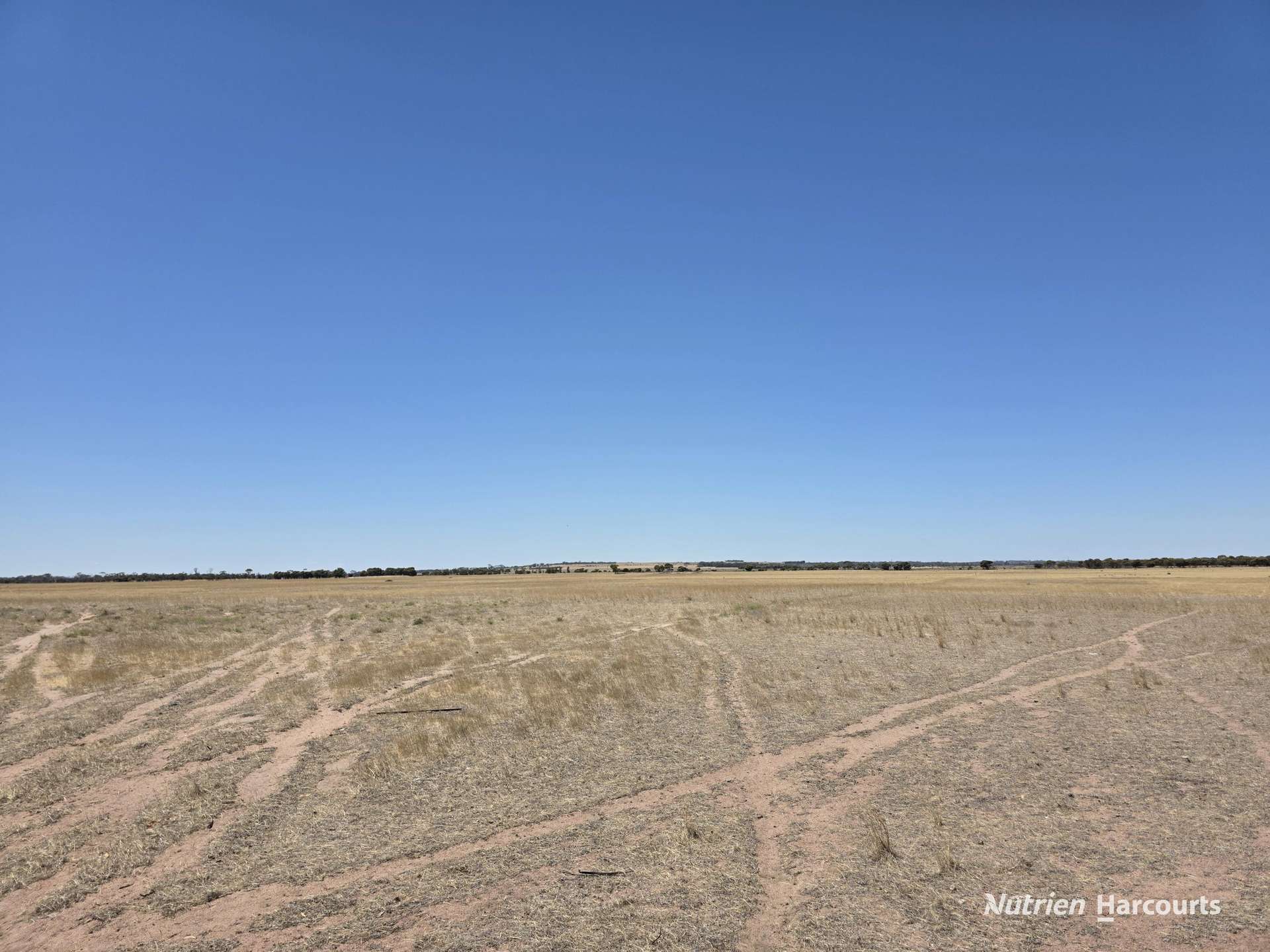 220 Nagel Road, Badgebup For Sale by Farmbuy.com - image 8