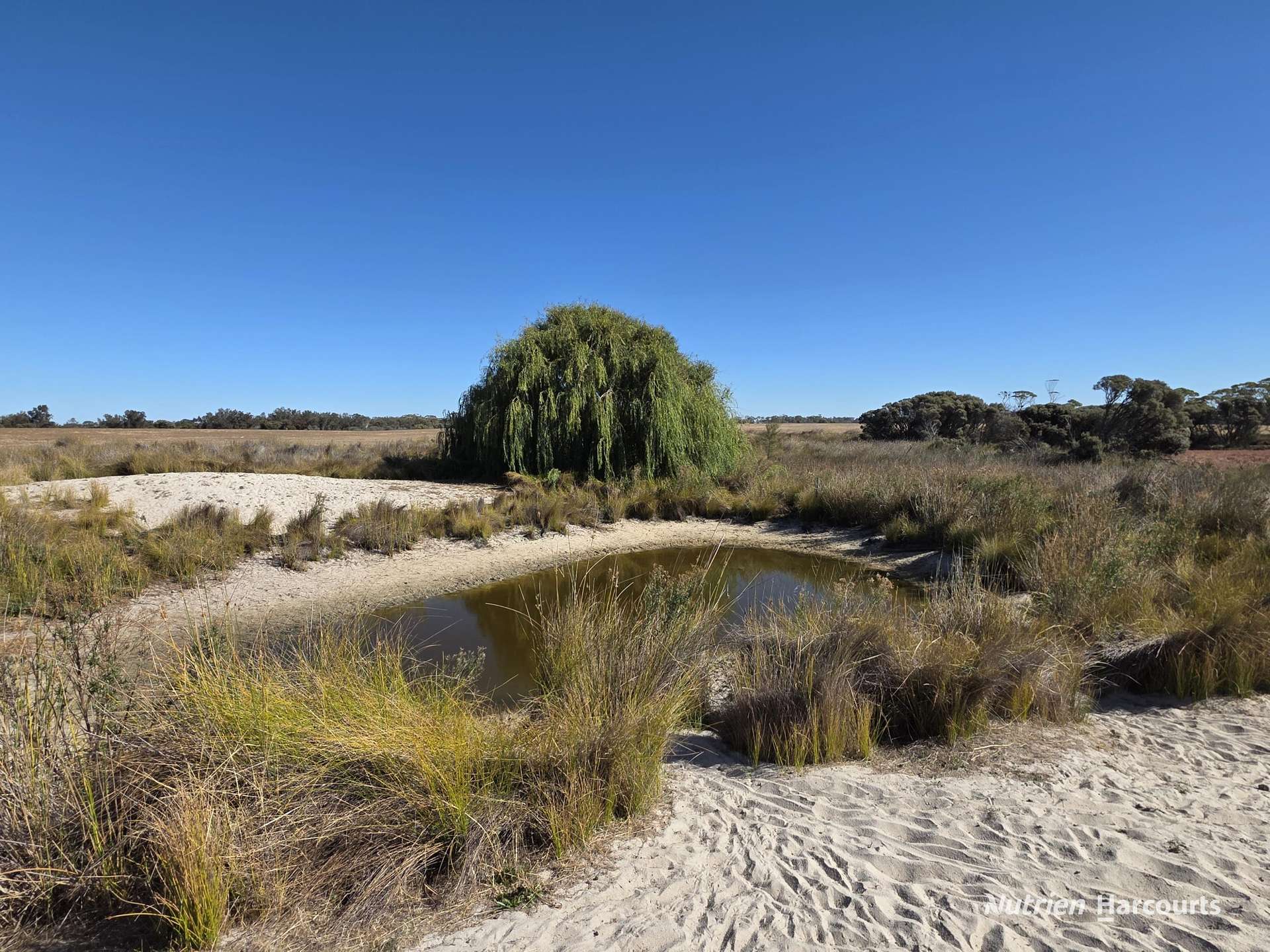 220 Nagel Road, Badgebup For Sale by Farmbuy.com - image 27