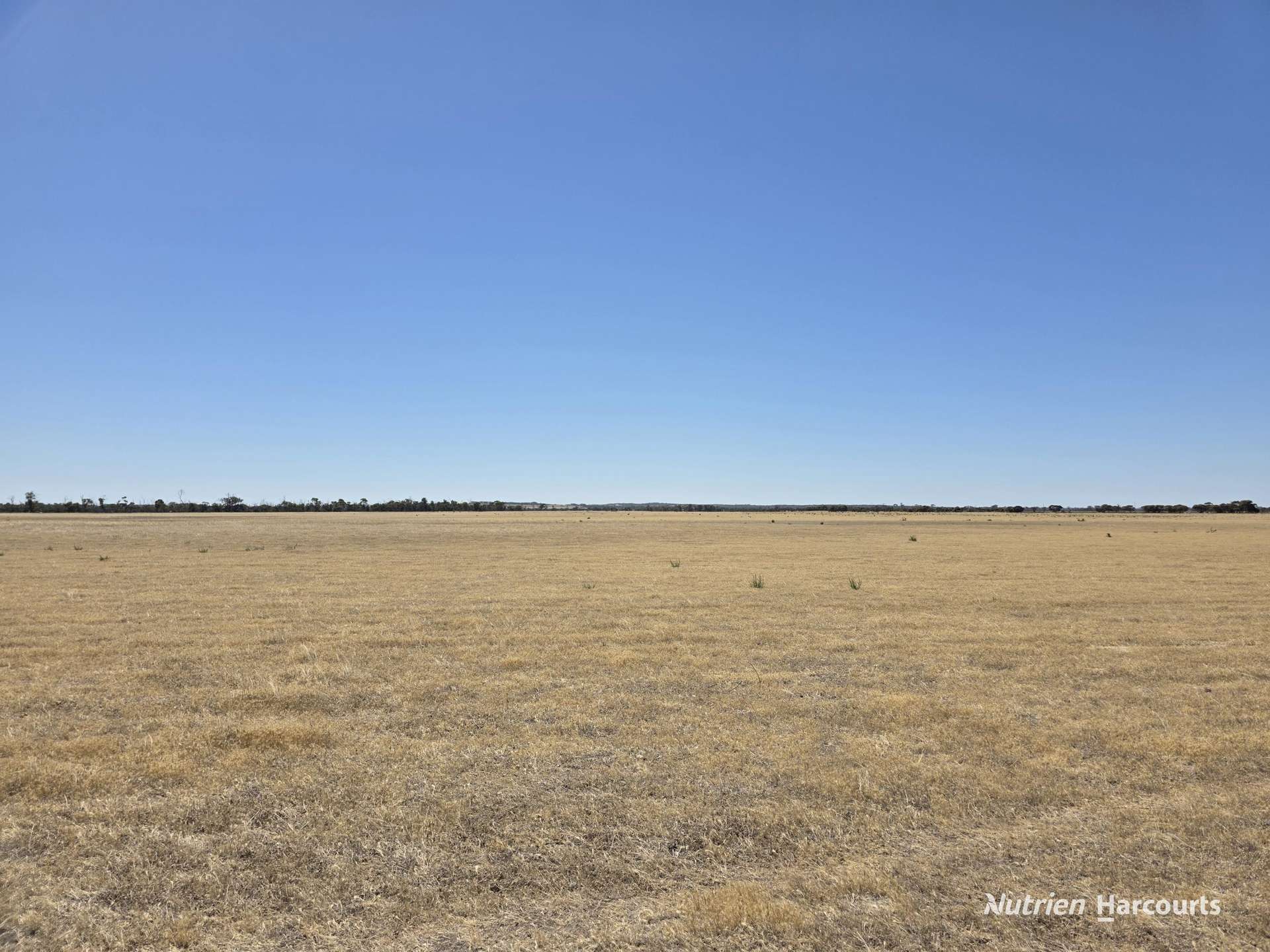 220 Nagel Road, Badgebup For Sale by Farmbuy.com - image 10