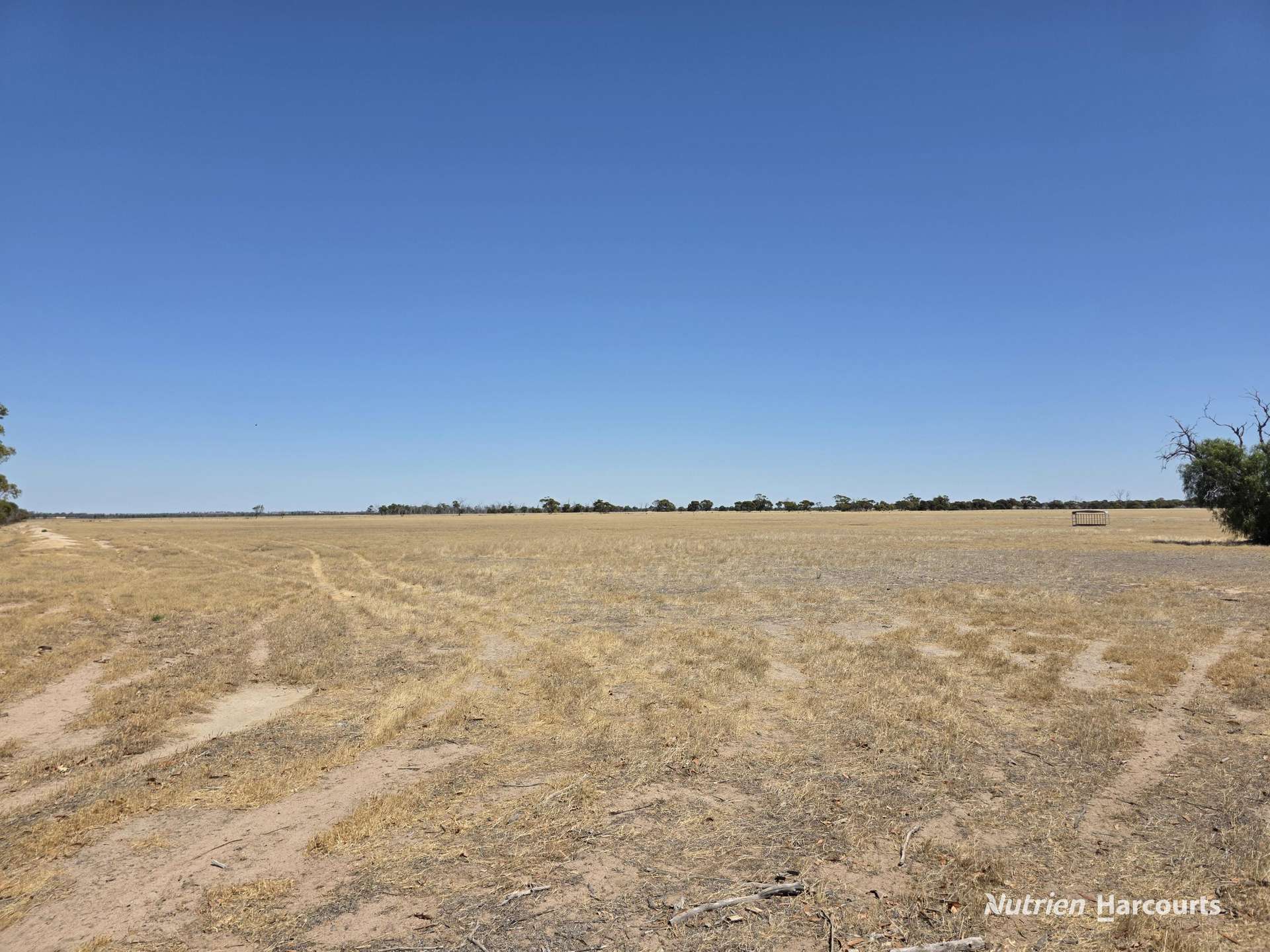 220 Nagel Road, Badgebup For Sale by Farmbuy.com - image 4