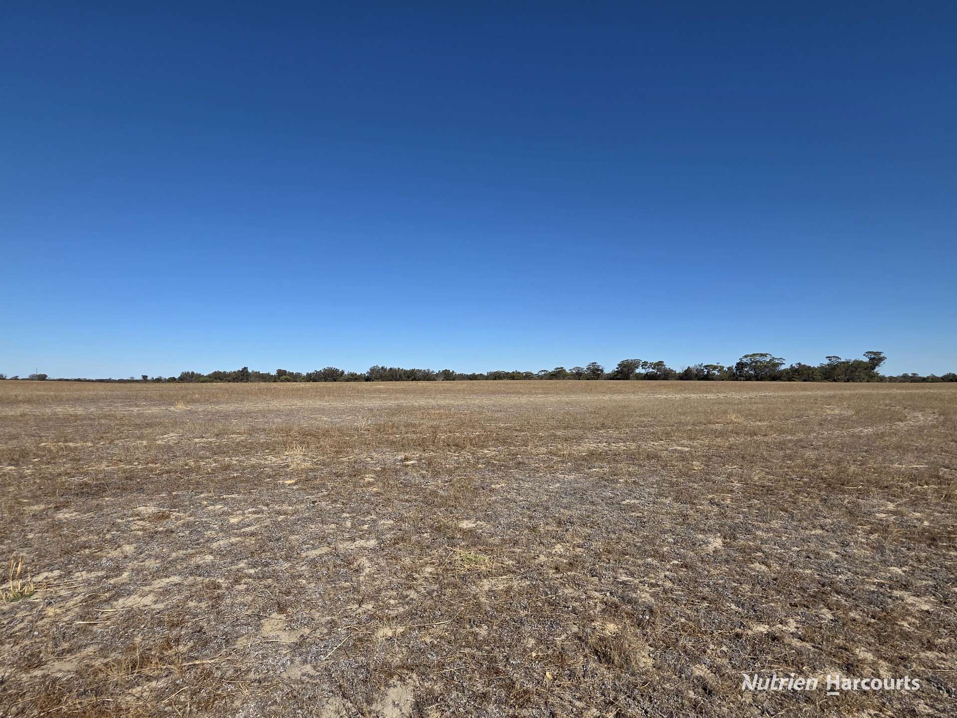 220 Nagel Road, Badgebup For Sale by Farmbuy.com - image 28
