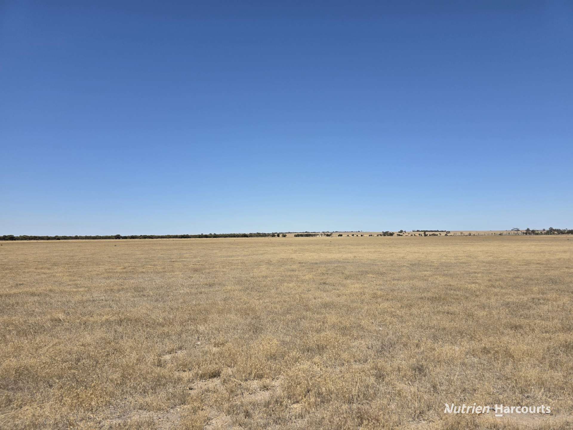 220 Nagel Road, Badgebup For Sale by Farmbuy.com - image 9