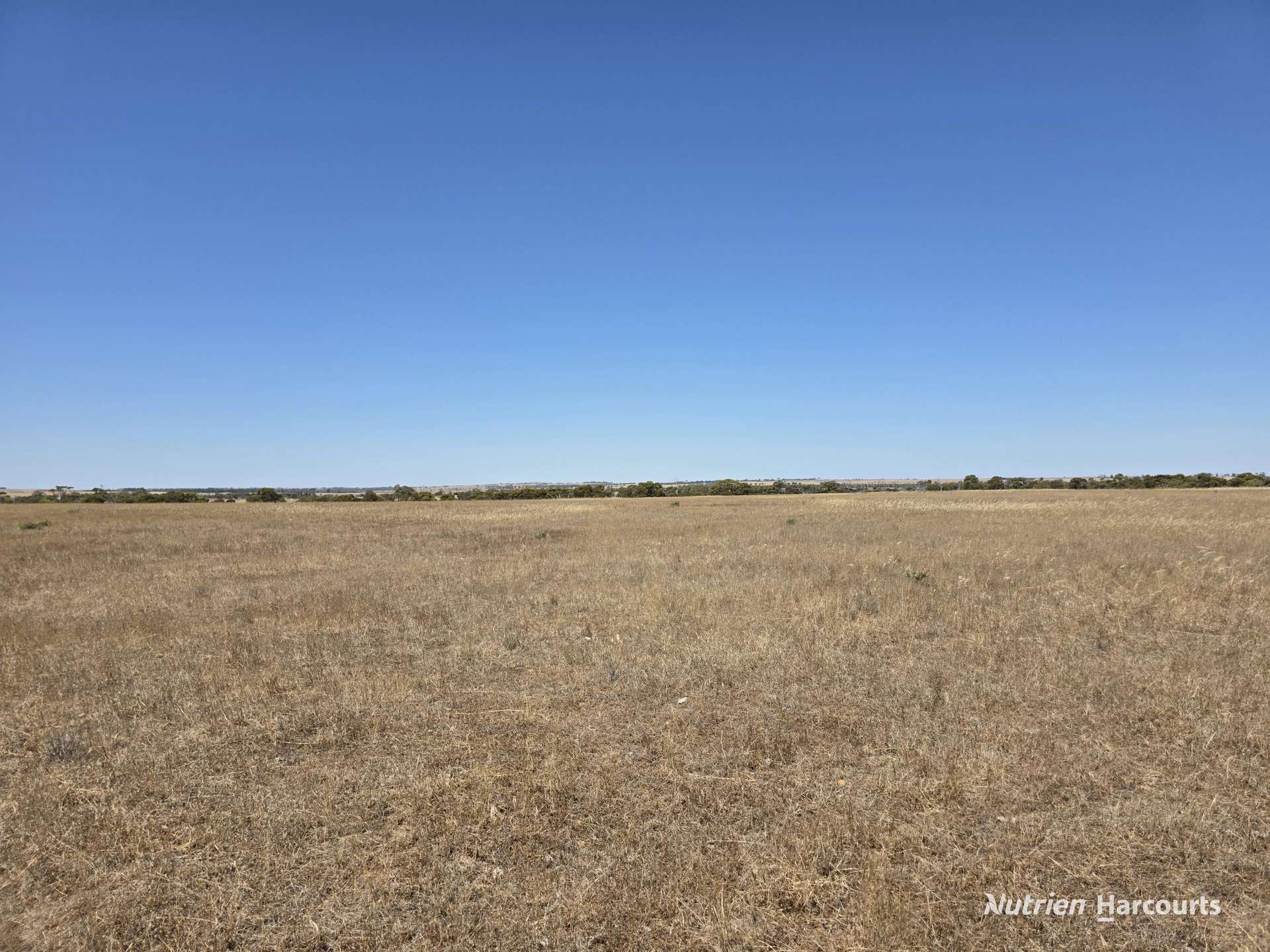 220 Nagel Road, Badgebup For Sale by Farmbuy.com - image 5