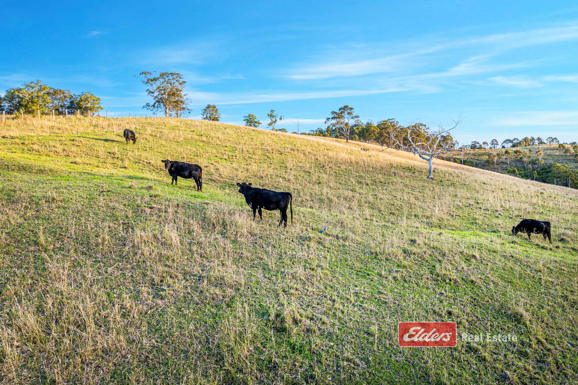 949 Tipperary Road, Tipperary Via, Gloucester For Sale by Farmbuy.com - image 18