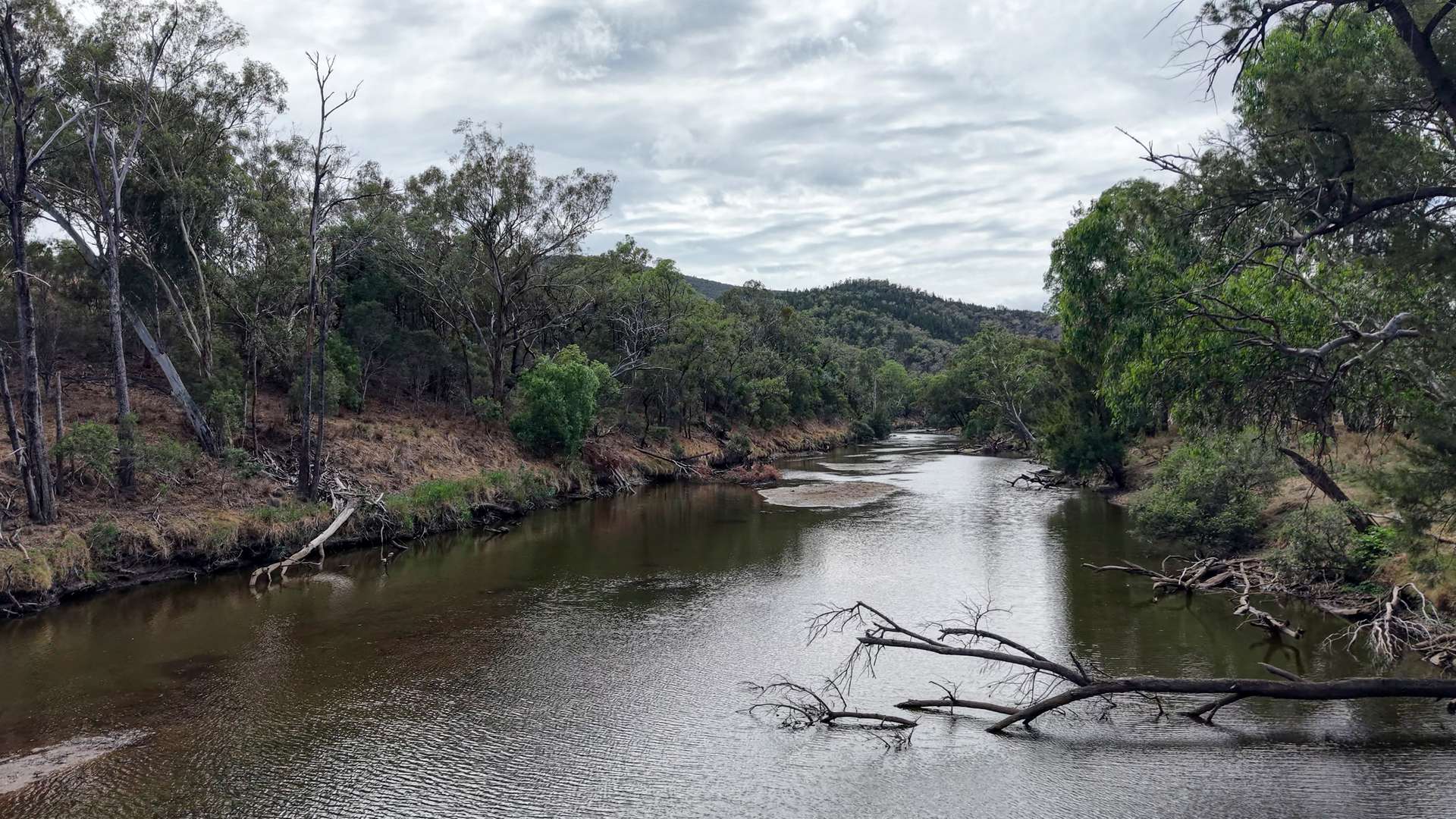 1213 Mole River Road, Tenterfield For Sale by Farmbuy.com - image 4