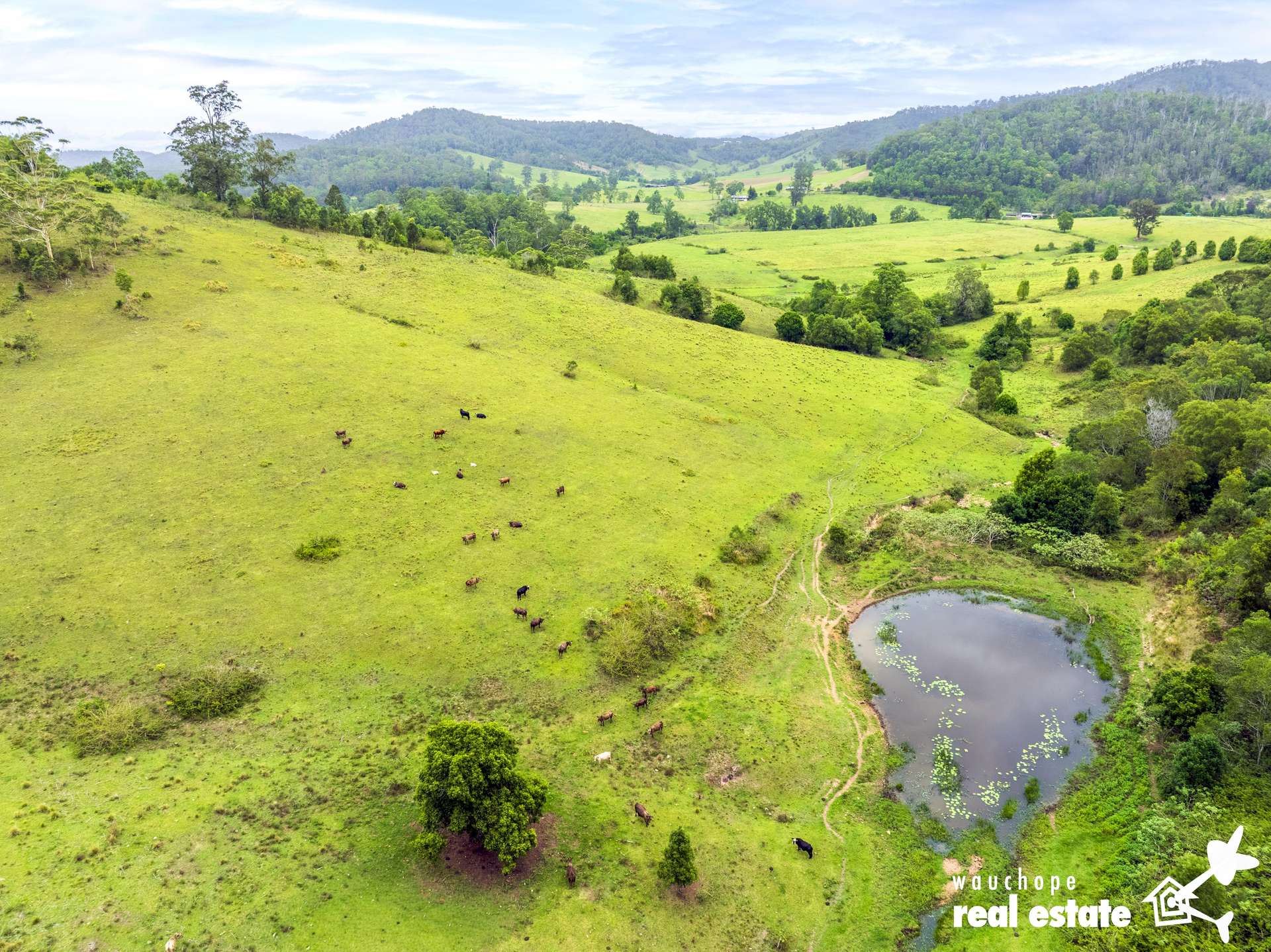 1024 Pappinbarra Road, Pappinbarra For Sale by Farmbuy.com - image 26