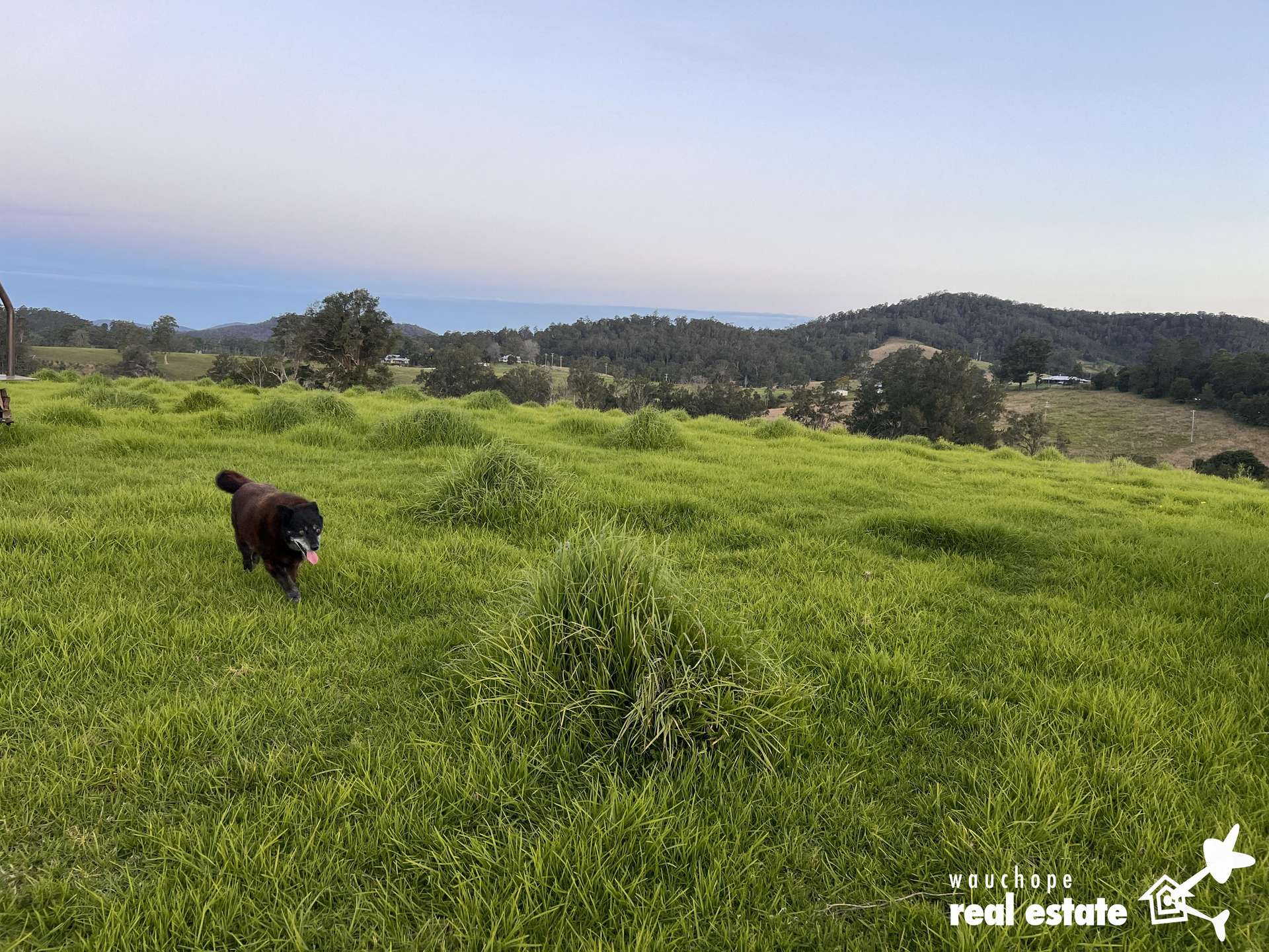 1024 Pappinbarra Road, Pappinbarra For Sale by Farmbuy.com - image 32