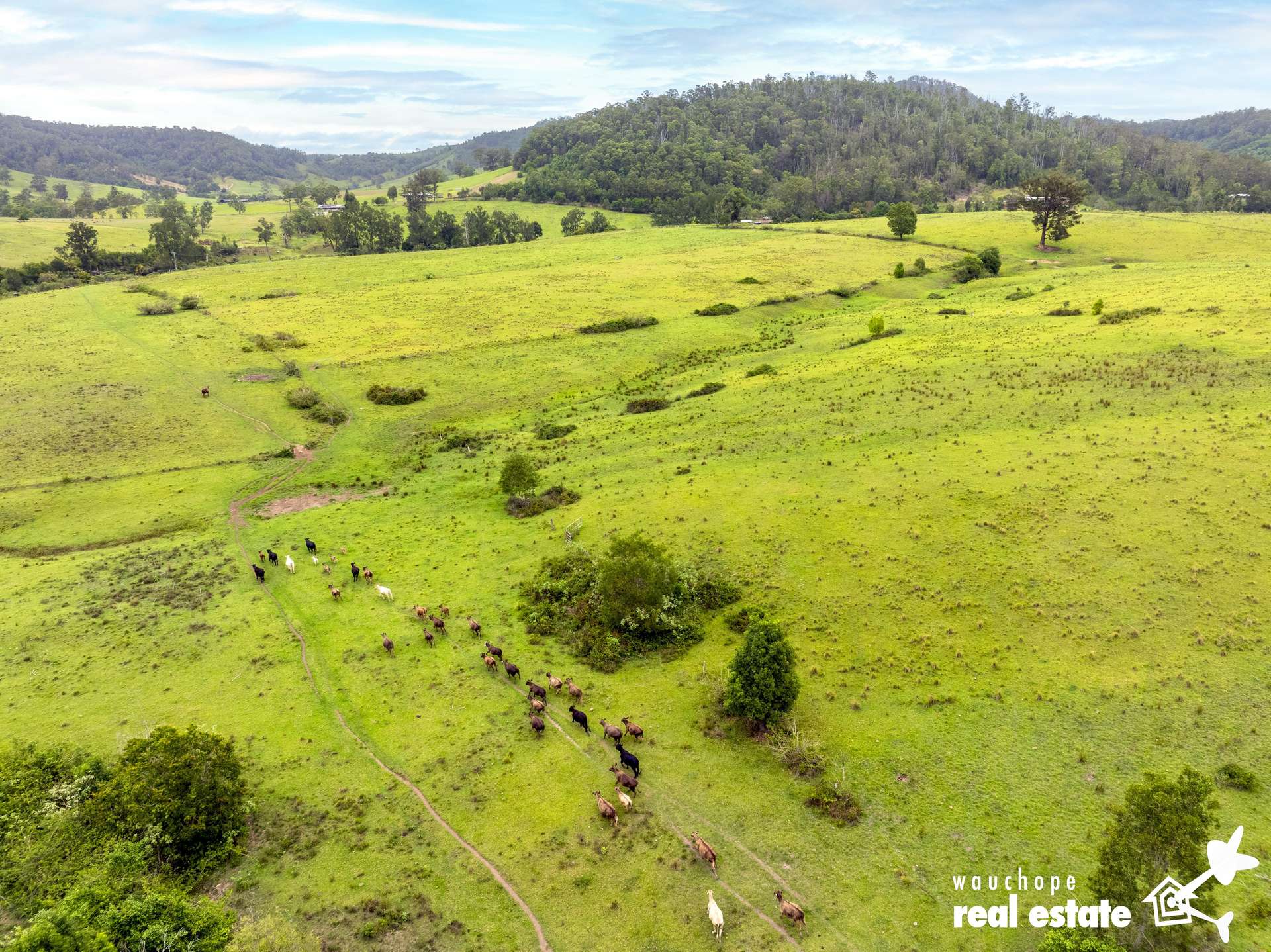 1024 Pappinbarra Road, Pappinbarra For Sale by Farmbuy.com - image 28