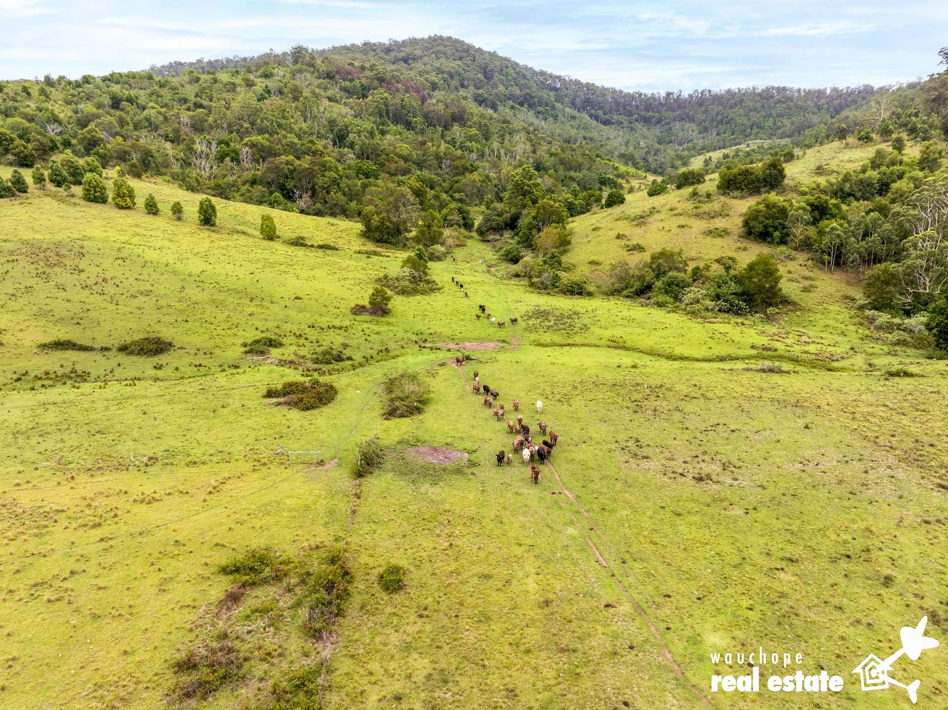 1024 Pappinbarra Road, Pappinbarra For Sale by Farmbuy.com - image 29