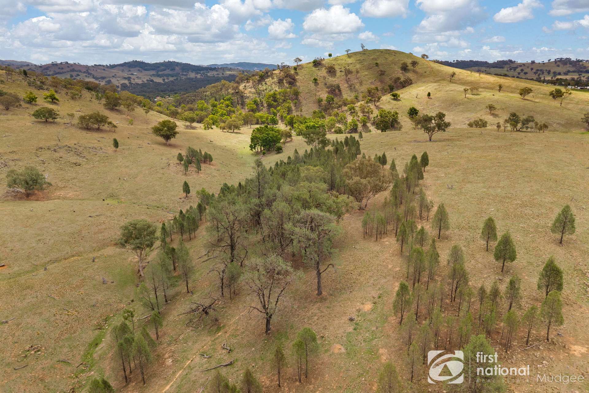 763 Old Grattai Road, Mudgee Sold by Farmbuy.com - image 7