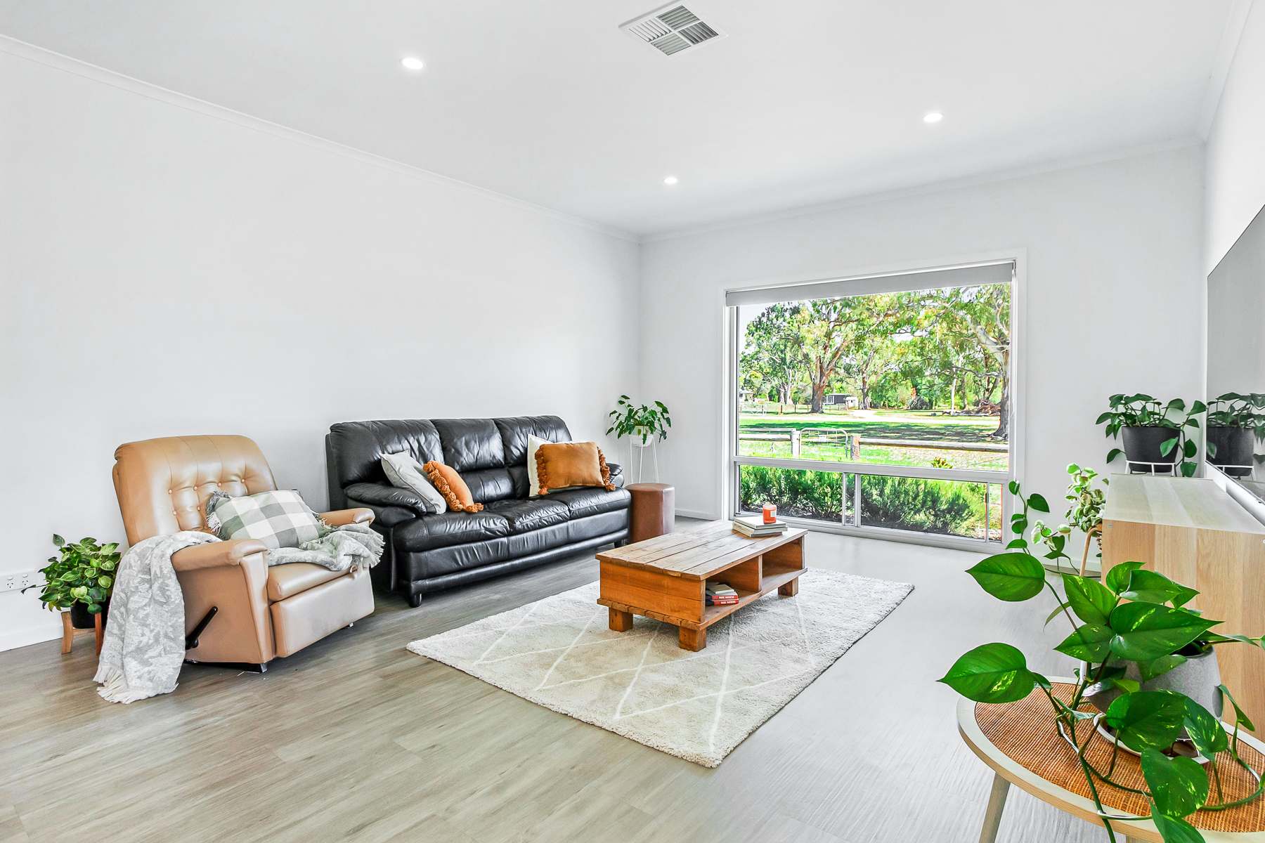 Lot 5 Old Portland Road, Penola For Sale by Farmbuy.com - image 5