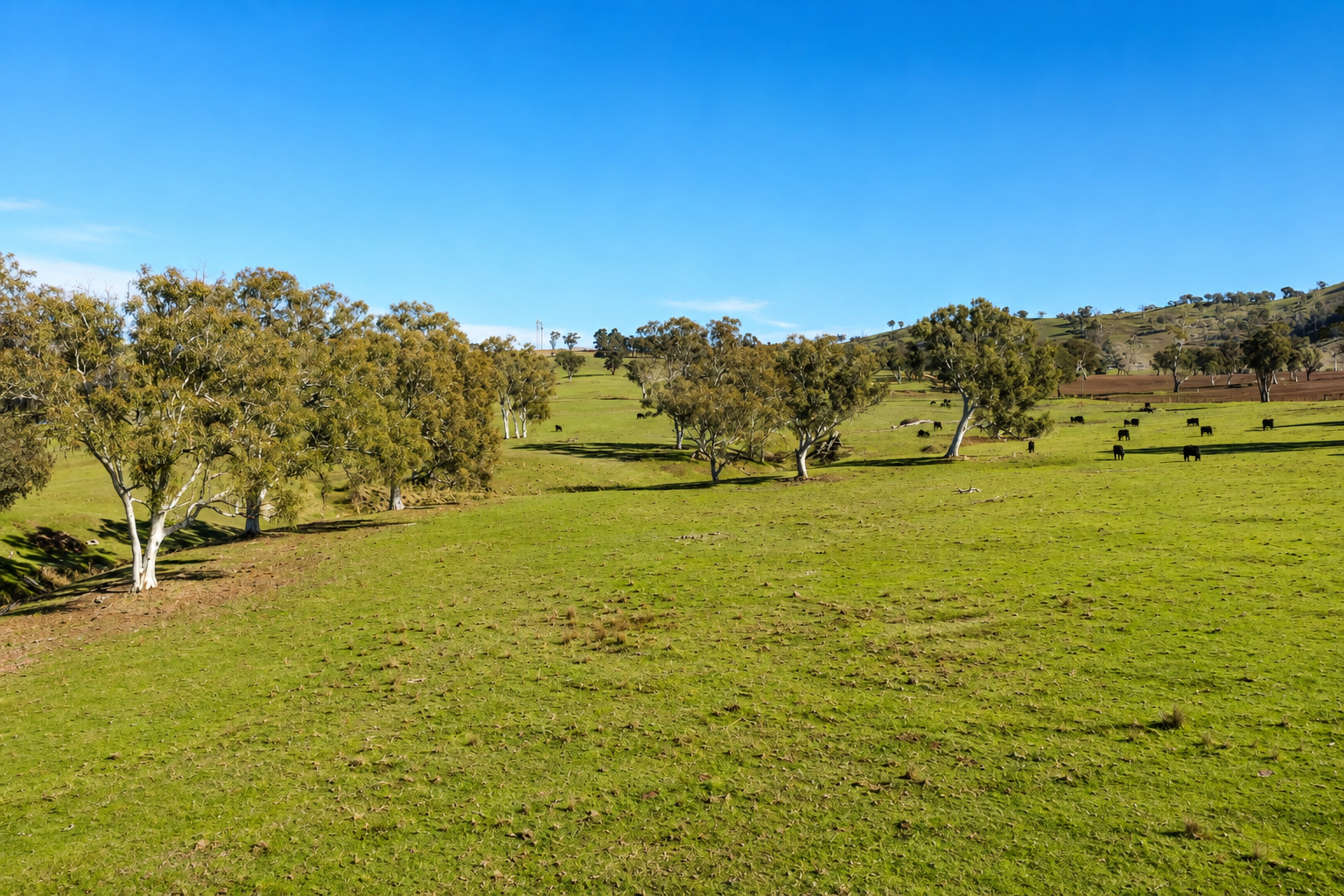 6953 Halls Creek Road, Bendemeer For Sale by Farmbuy.com - image 24