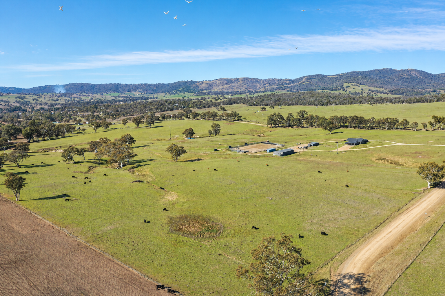 6953 Halls Creek Road, Bendemeer For Sale by Farmbuy.com - image 26