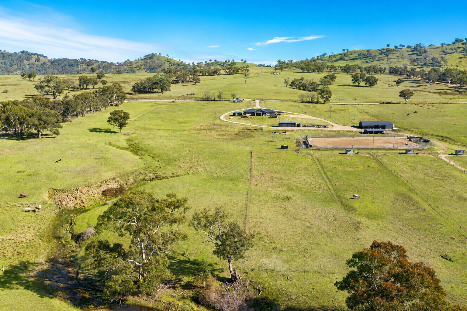 6953 Halls Creek Road, Bendemeer For Sale by Farmbuy.com - image 5