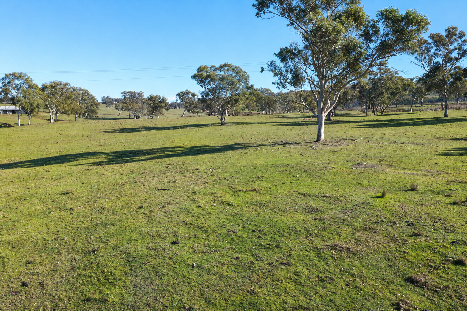 6953 Halls Creek Road, Bendemeer For Sale by Farmbuy.com - image 7