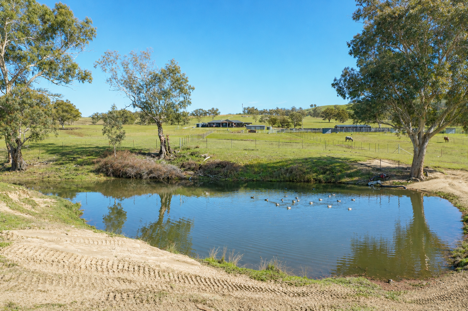 6953 Halls Creek Road, Bendemeer For Sale by Farmbuy.com - image 23