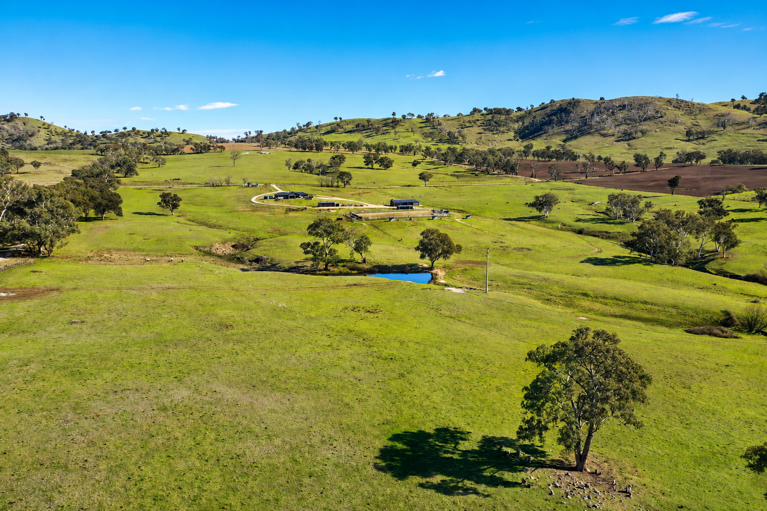 6953 Halls Creek Road, Bendemeer For Sale by Farmbuy.com - image 3