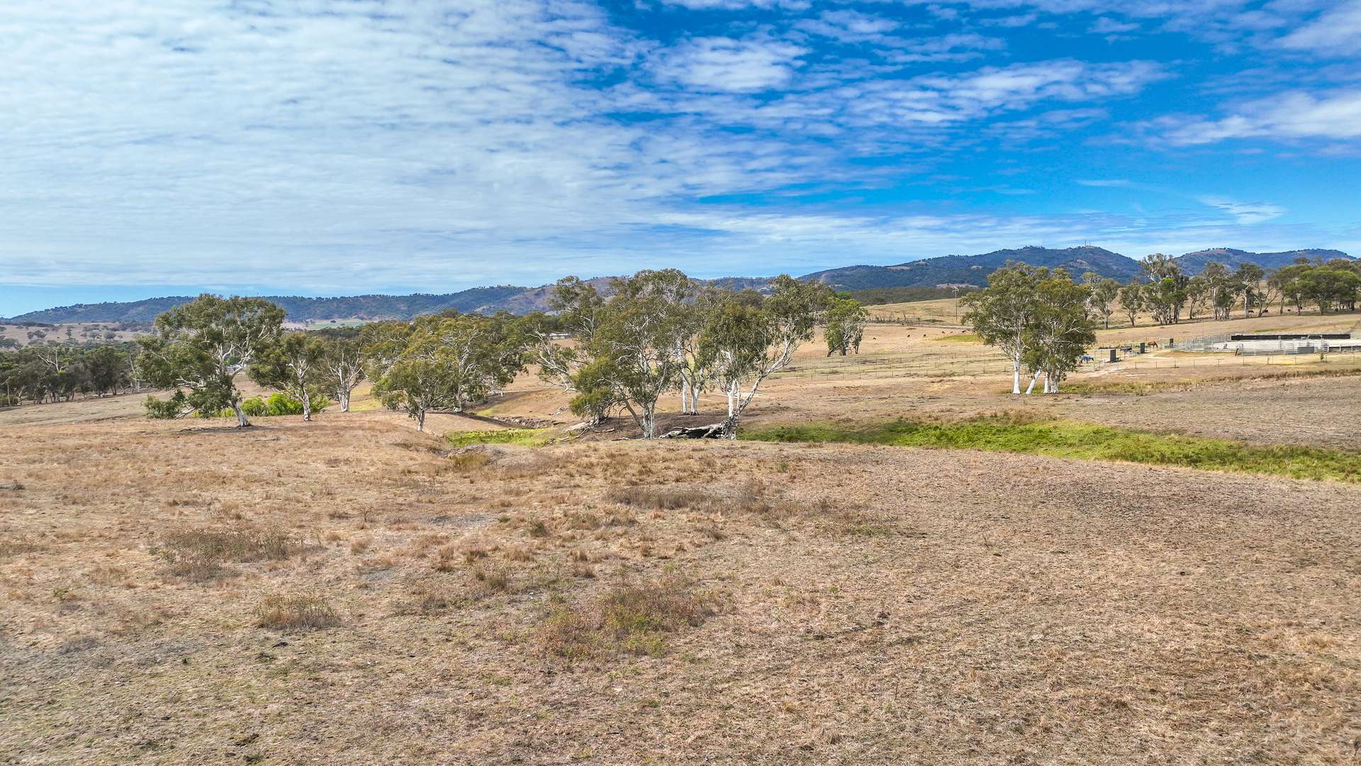 6953 Halls Creek Road, Bendemeer For Sale by Farmbuy.com - image 20