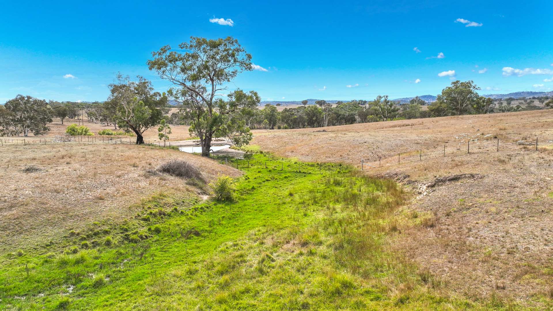 6953 Halls Creek Road, Bendemeer For Sale by Farmbuy.com - image 19