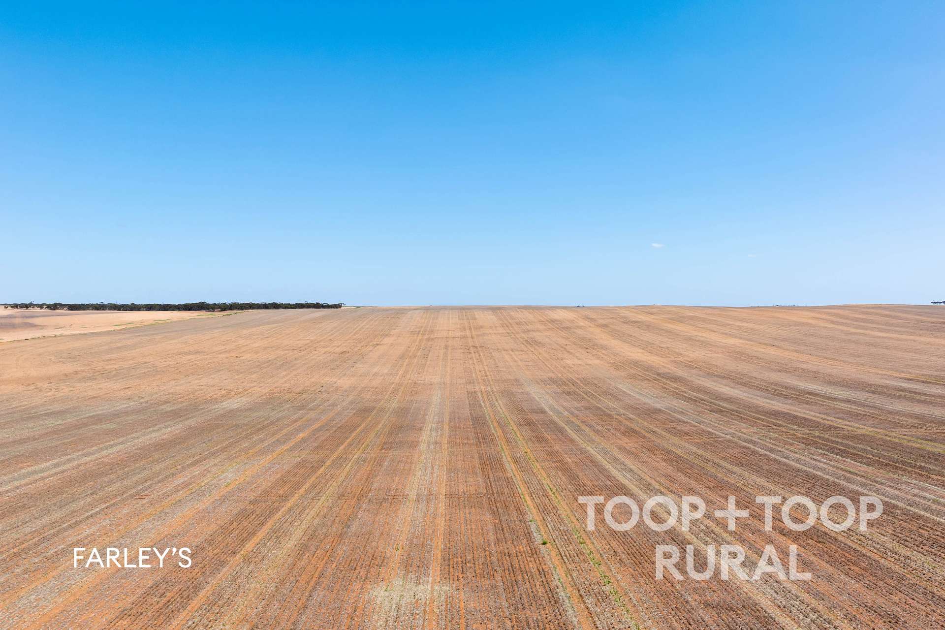 833 Walshs Bore Road, Copeville For Sale by Farmbuy.com - image 11