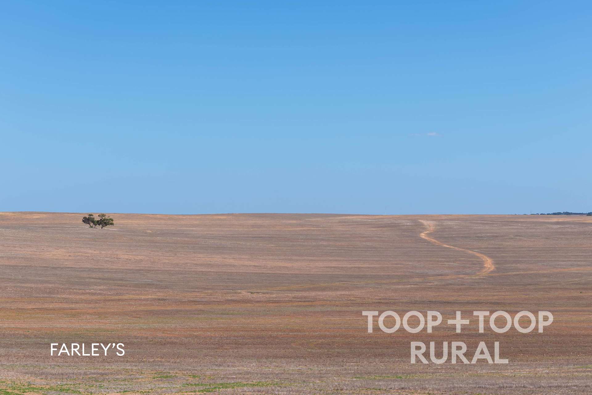 833 Walshs Bore Road, Copeville For Sale by Farmbuy.com - image 12