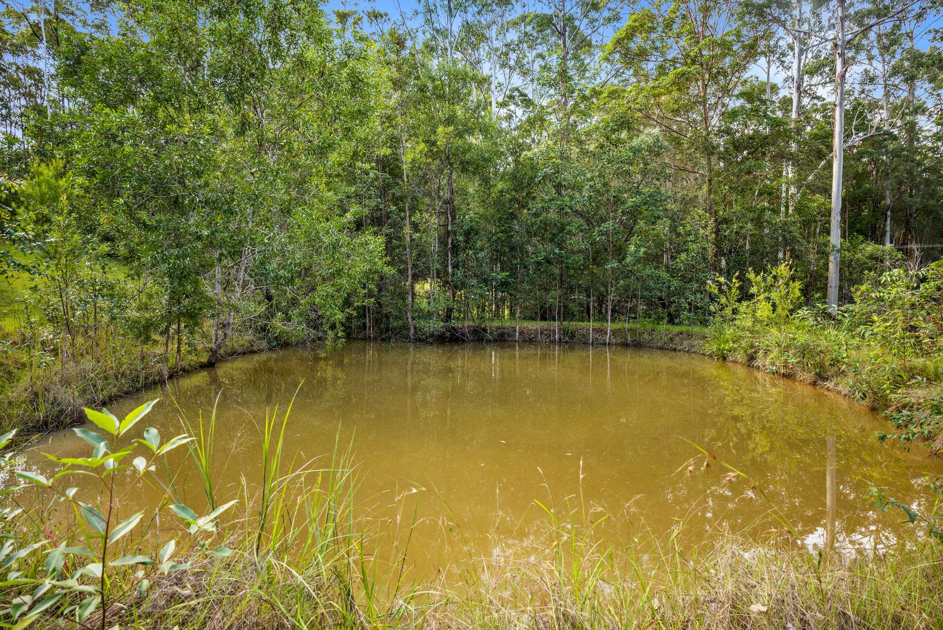 612 Louis Bazzo Drive, Ringtail Creek Sold by Farmbuy.com - image 5