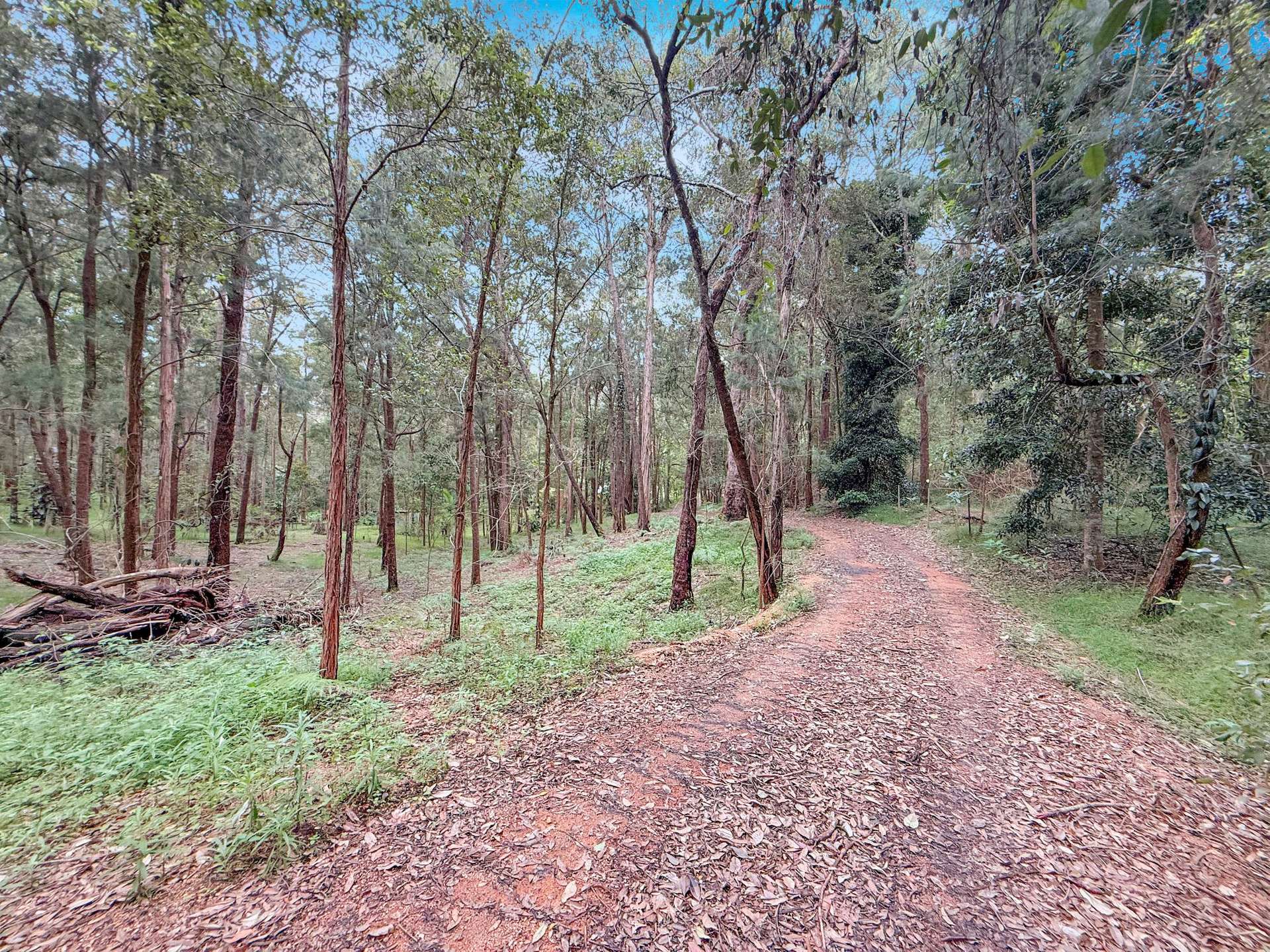4 DIELHOF DRIVE, Wondecla For Sale by Farmbuy.com - image 15