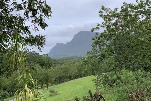 Farm Sold - NSW - Lillian Rock - 2480 - MILLION DOLLAR VIEWS 