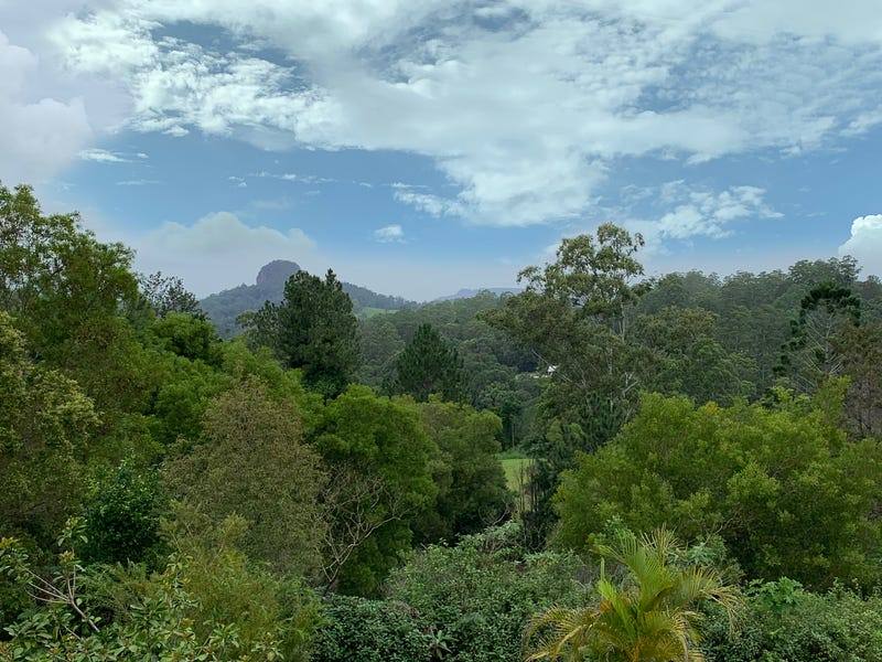 3935 Kyogle Road, Lillian Rock Sold by Farmbuy.com - image 5