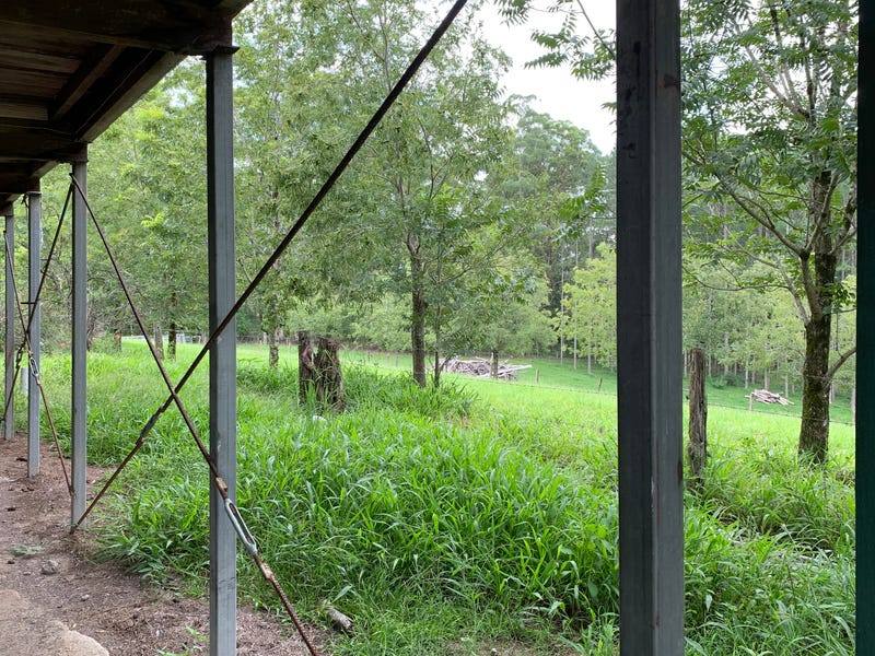 3935 Kyogle Road, Lillian Rock Sold by Farmbuy.com - image 14