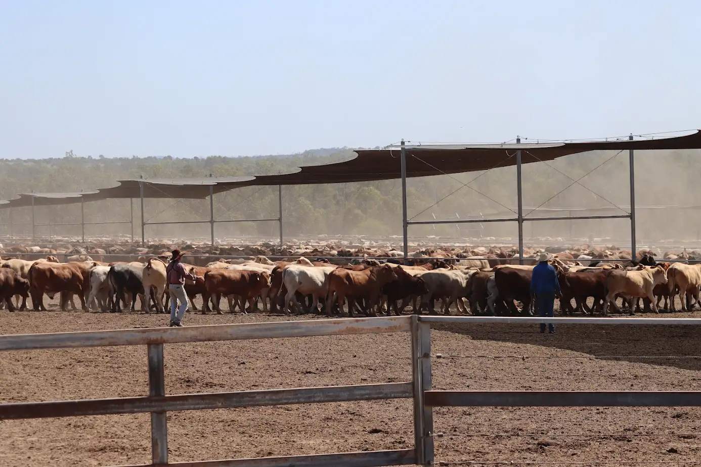 2687 Dawson Developmental Road, Springsure For Sale by Farmbuy.com - image 11