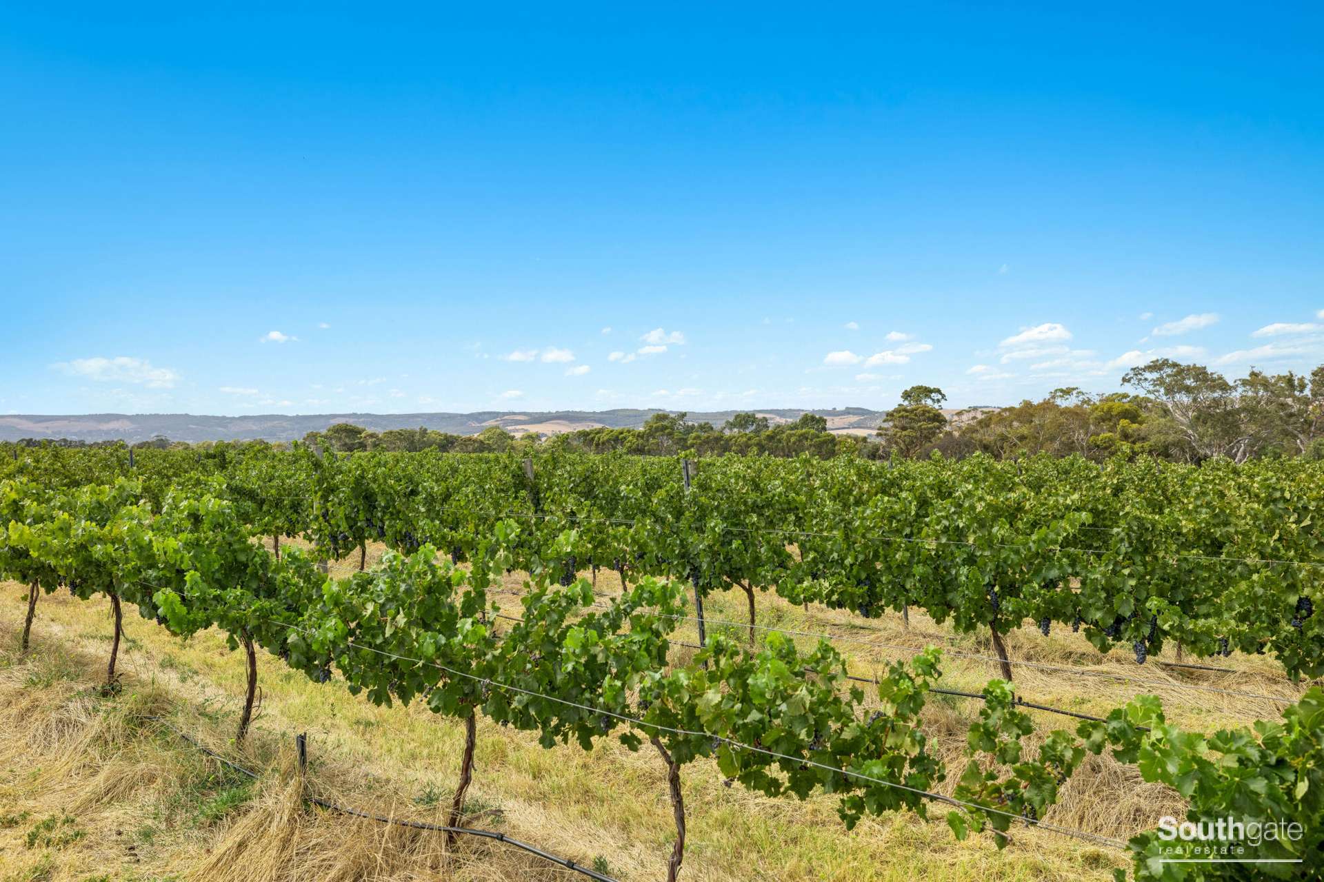28 Bayliss Road, Whites Valley For Sale by Farmbuy.com - image 12