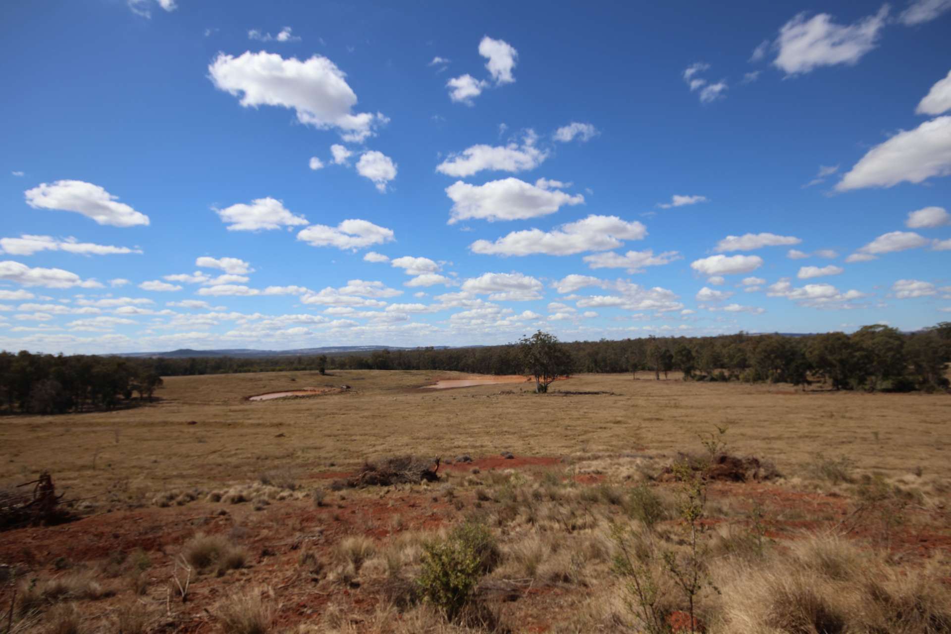 225 Beils Road, Inverlaw For Sale by Farmbuy.com - image 4