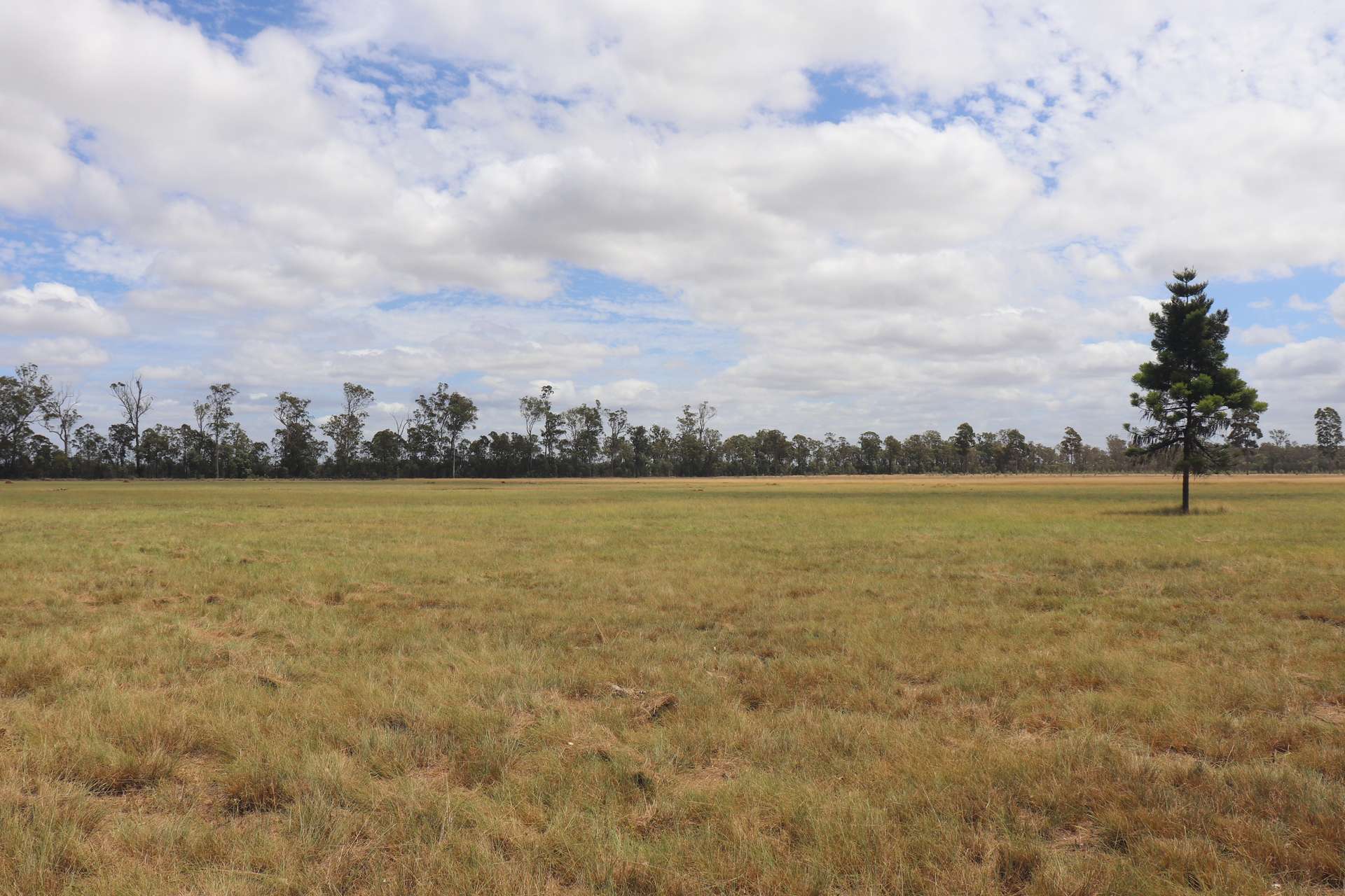 225 Beils Road, Inverlaw For Sale by Farmbuy.com - image 1